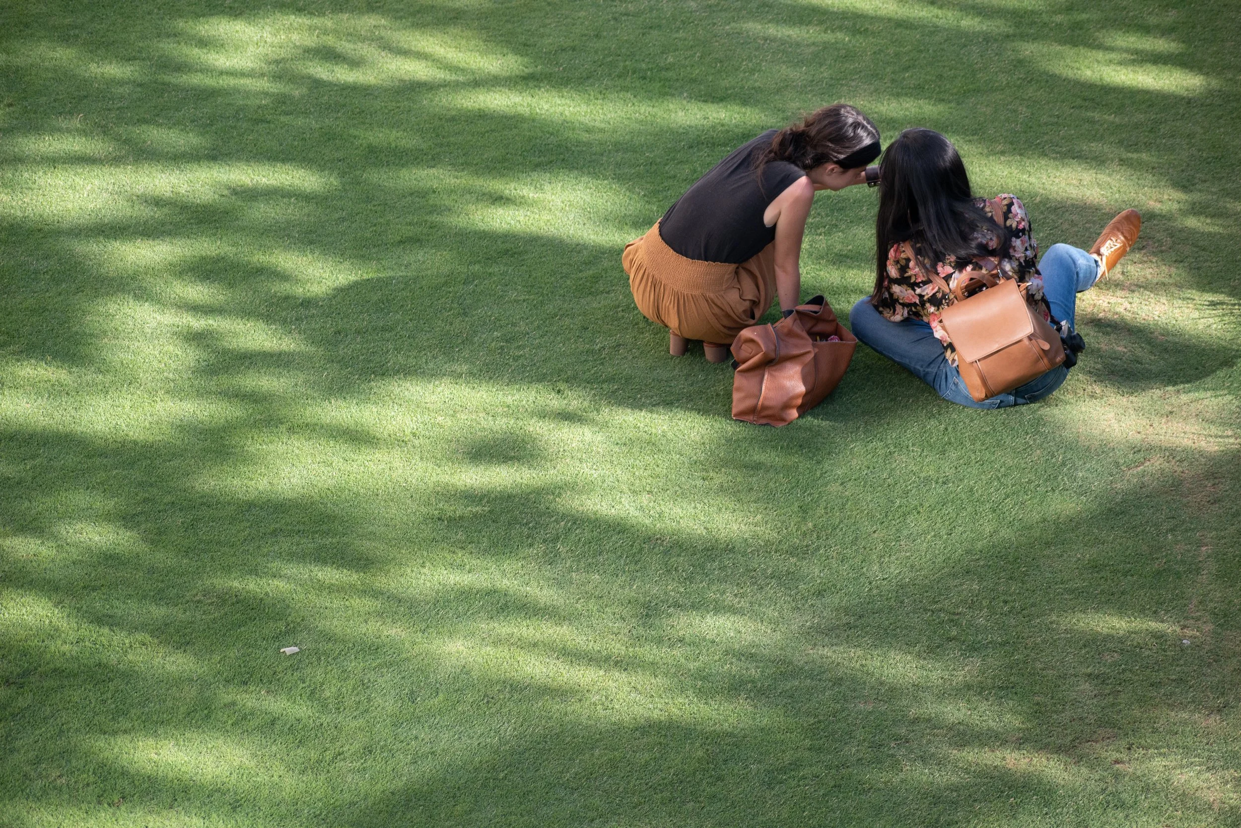 31 girls on the lawn 2.jpg