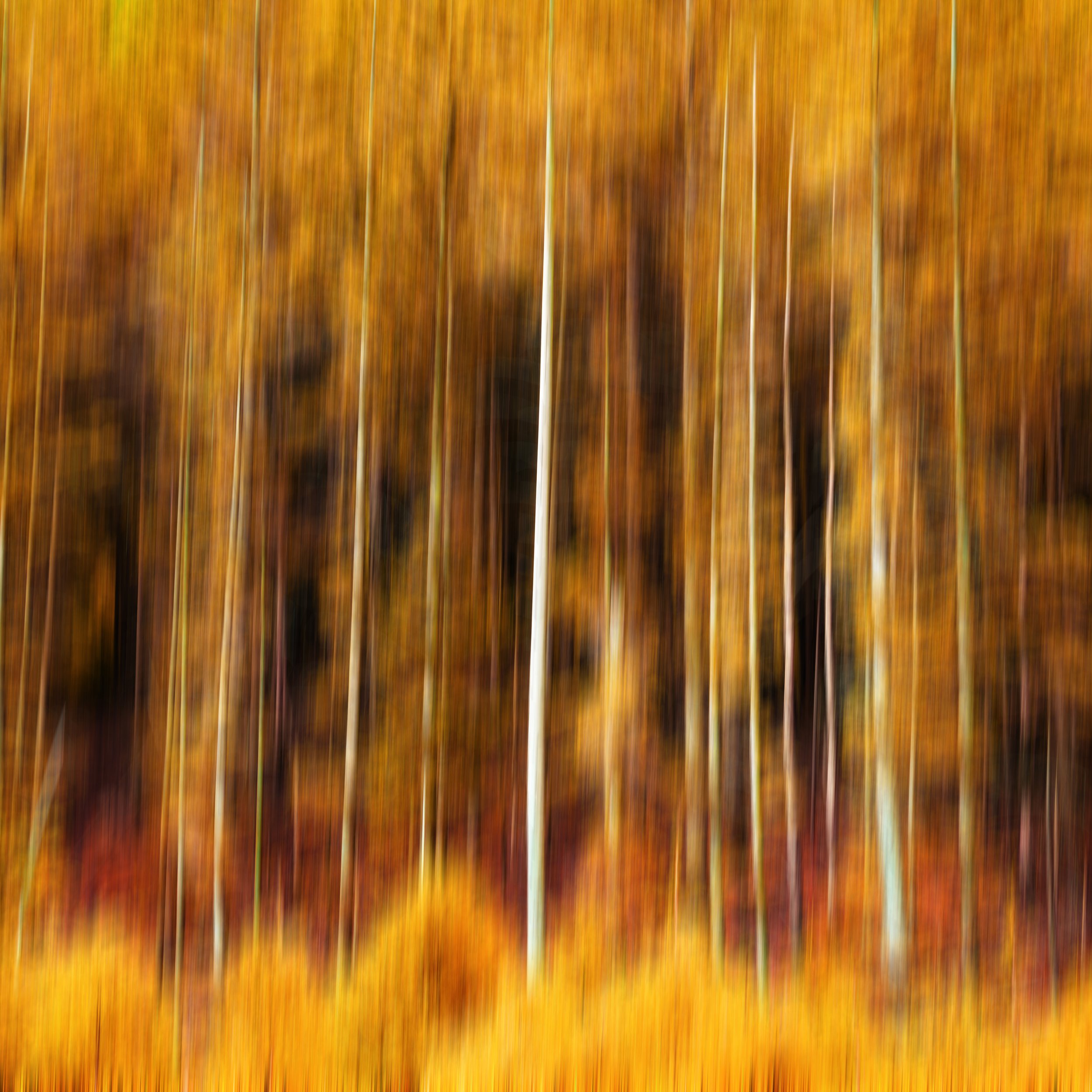 Amber