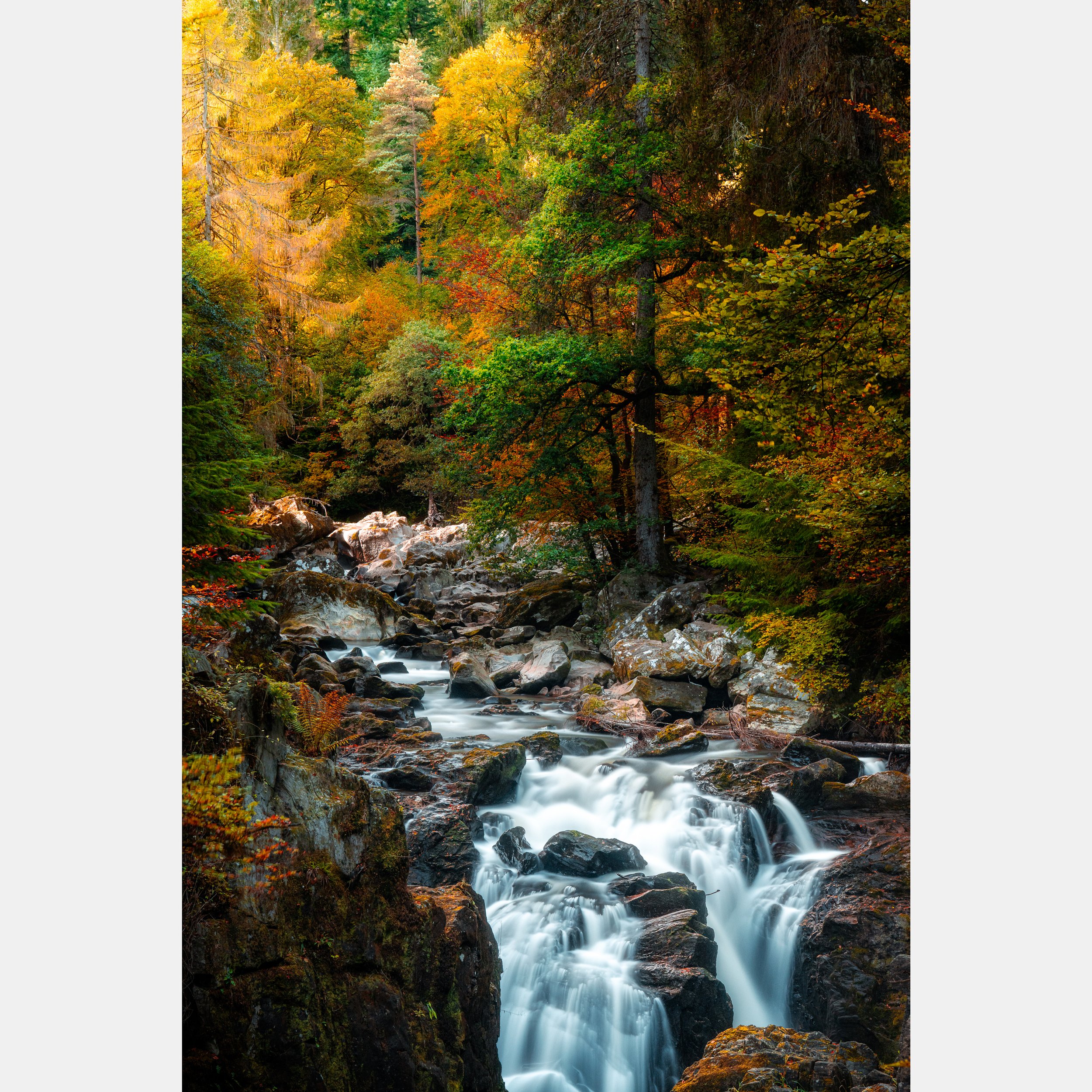 Autumn Colours