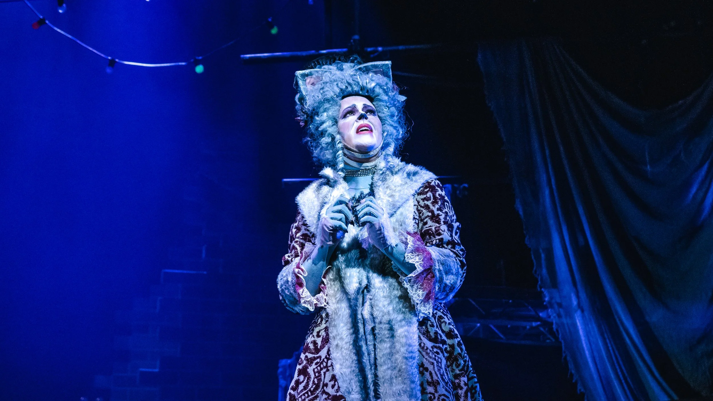 CatsPantheon -34.jpg