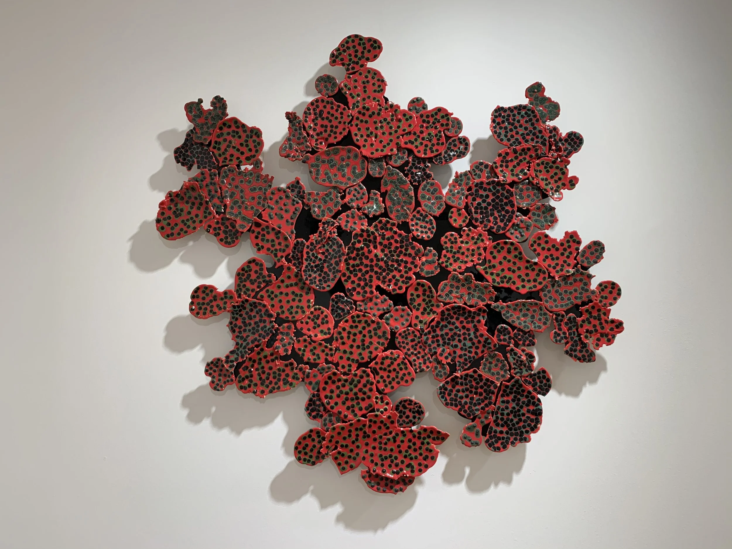  Leo Battistelli   LÍQUENES ROJOS , 2025  Cortesía Del Infinito 