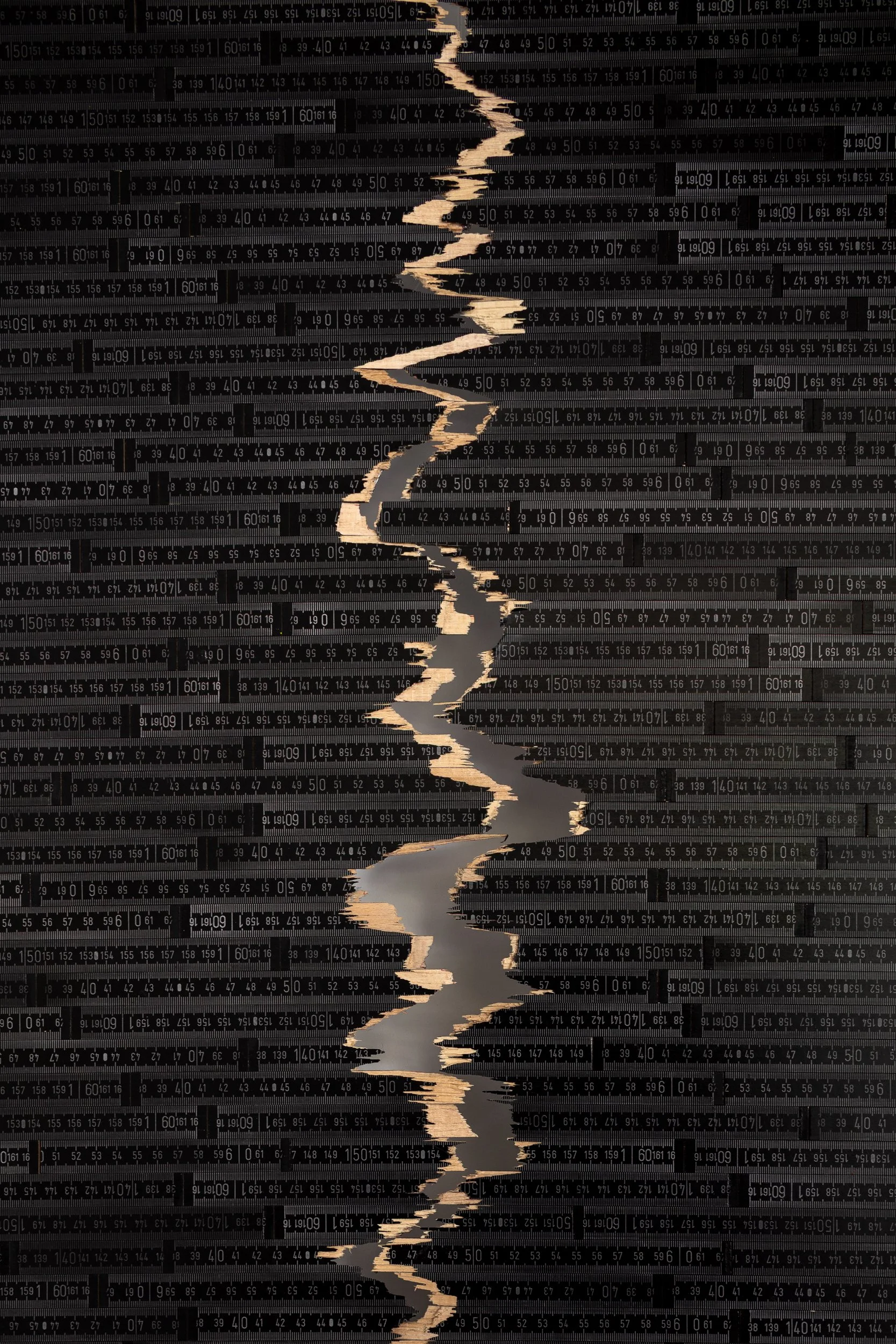 5-OBRA_GaleriaDelPaseo_PedroTyler_detalle SIEMBRA_2025_delArtista.jpg