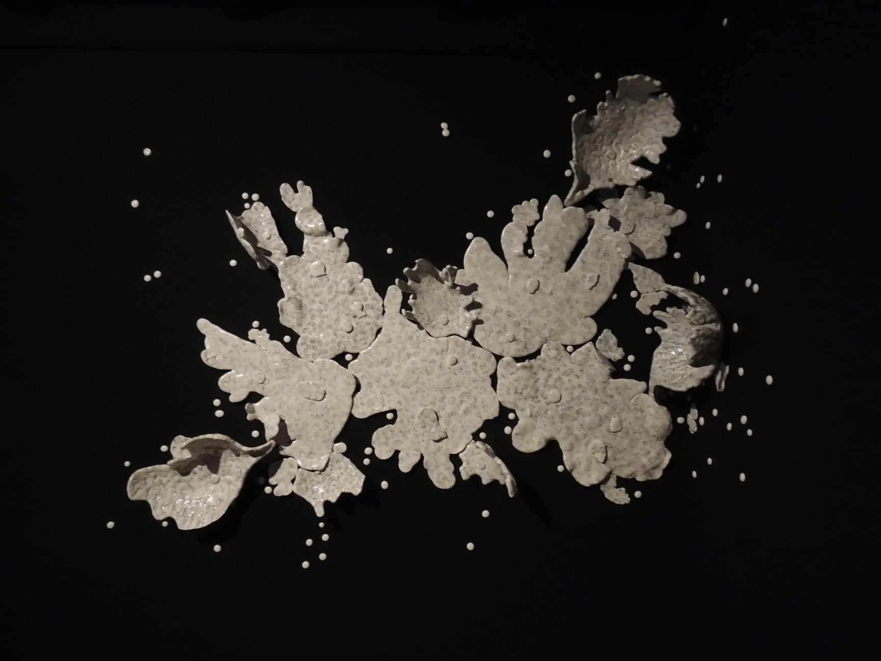 ESTE FOCUS | DEL INFINITO