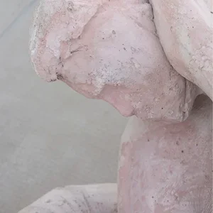  DIEGO BIANCHI  Galerie Jocelyn Wolff  (Paris) 