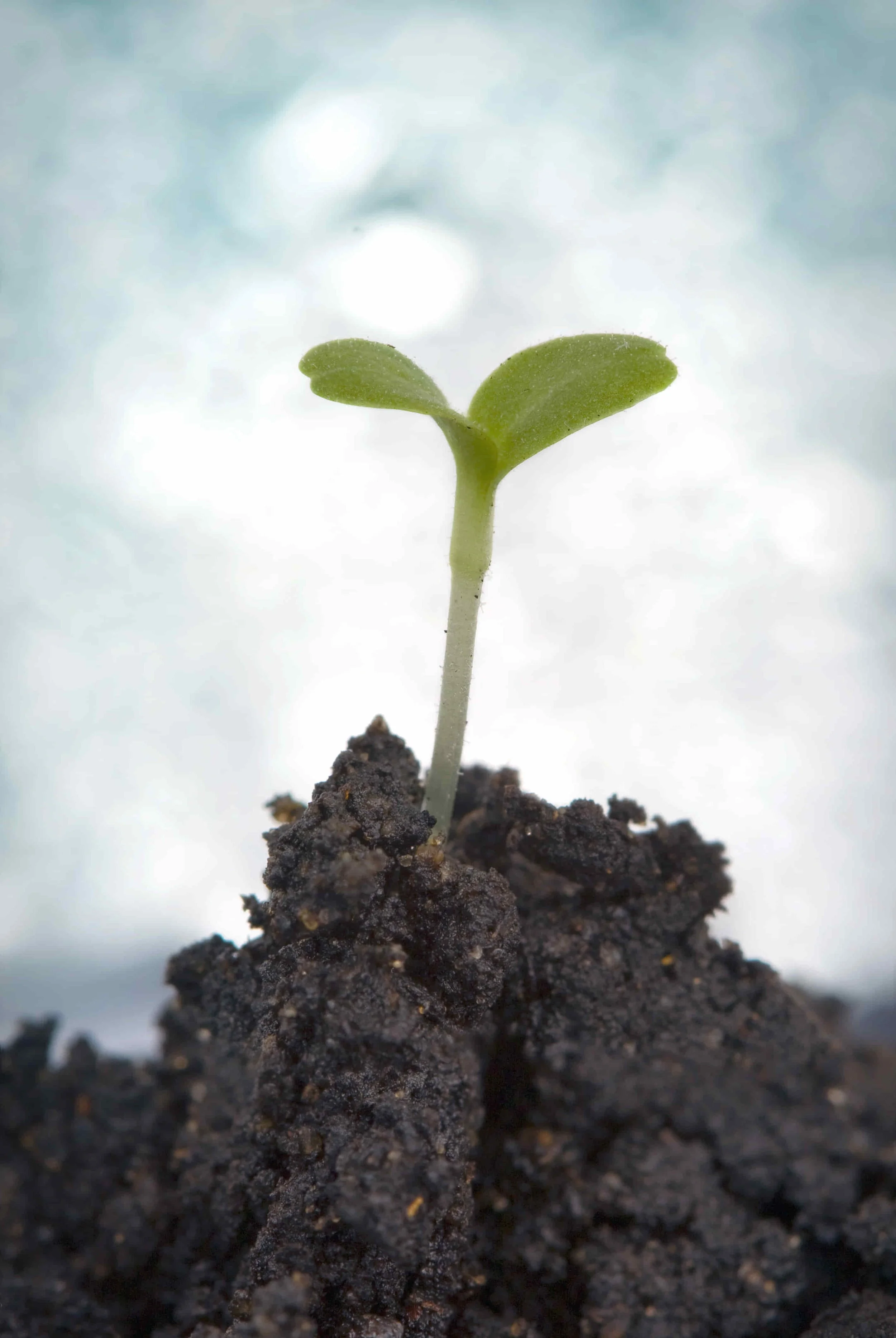 4 Smart Strategies to Get the Job You Really Want