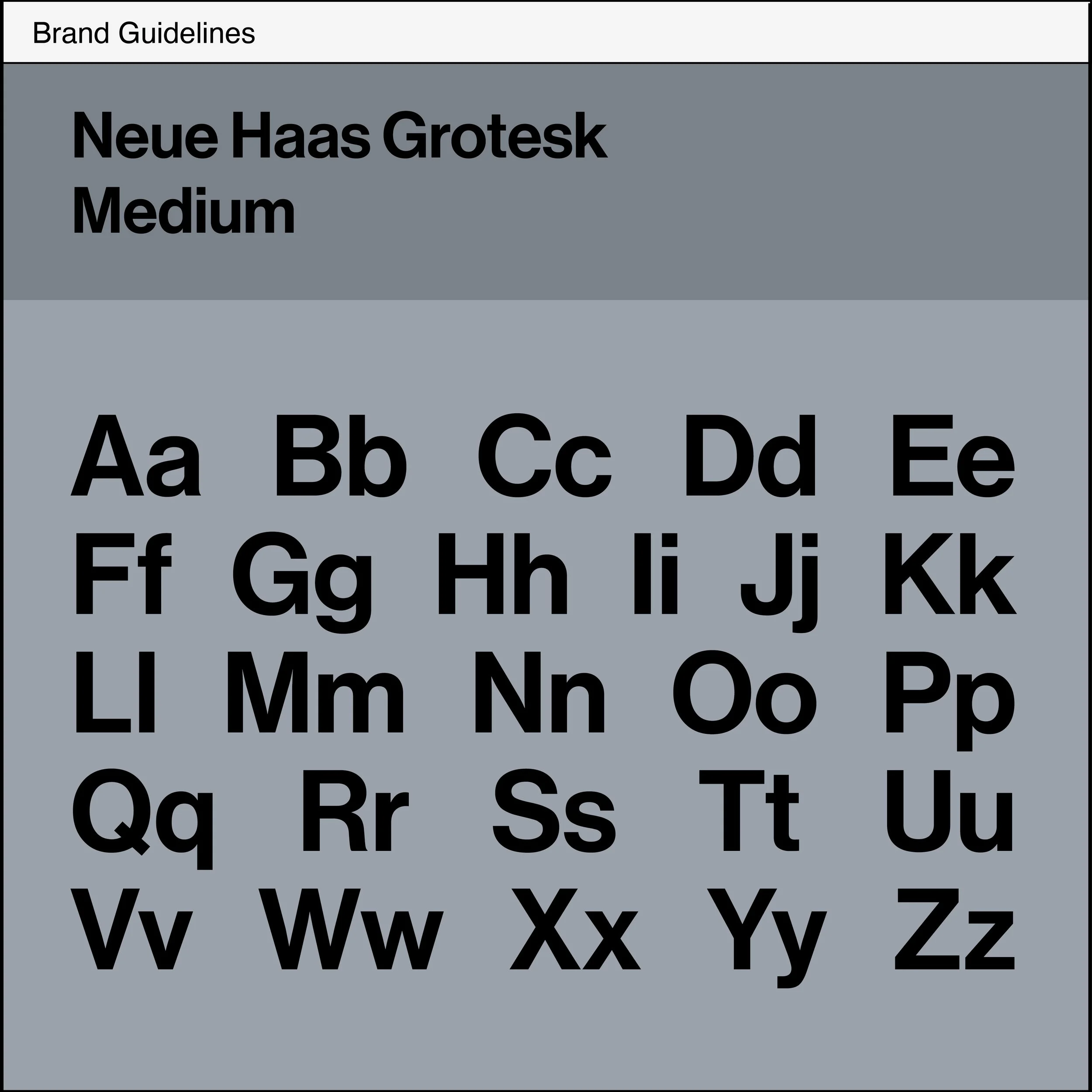 Brand Guide Thumbnail.jpg