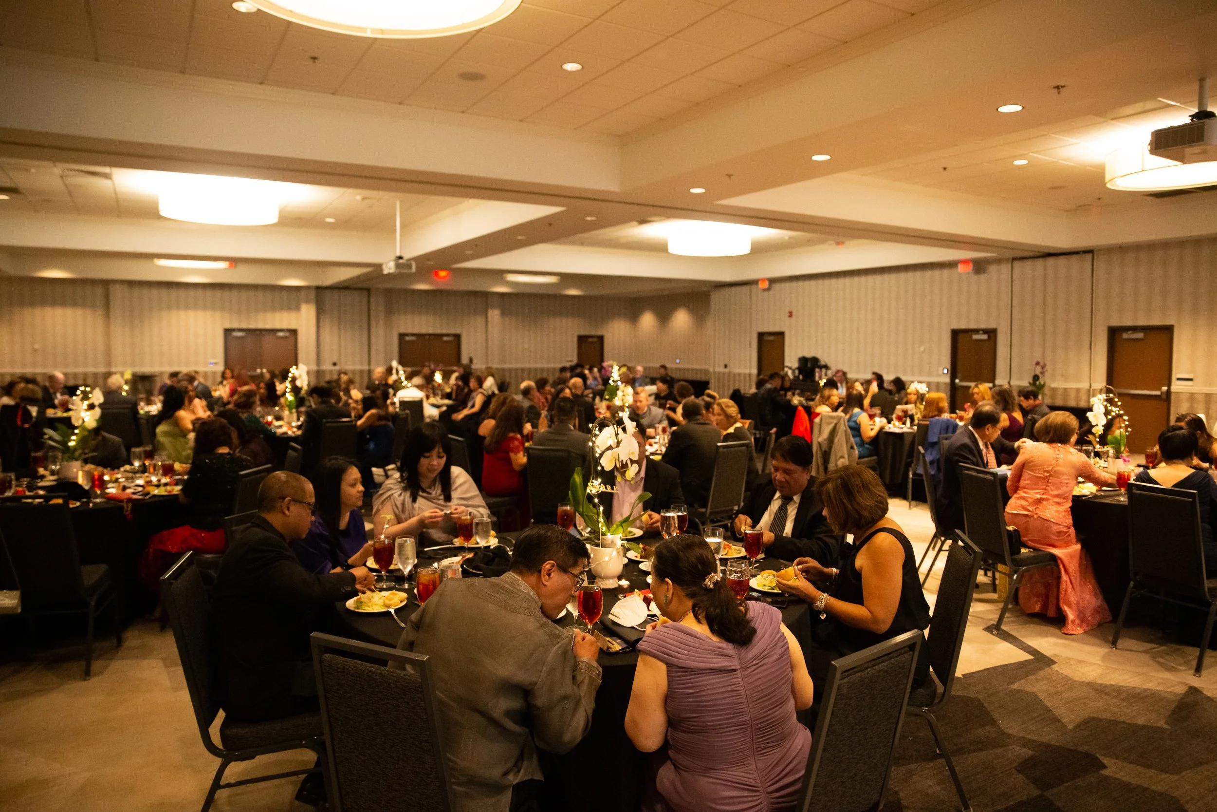 PNAGA Ball 3-22-0090-2.jpg