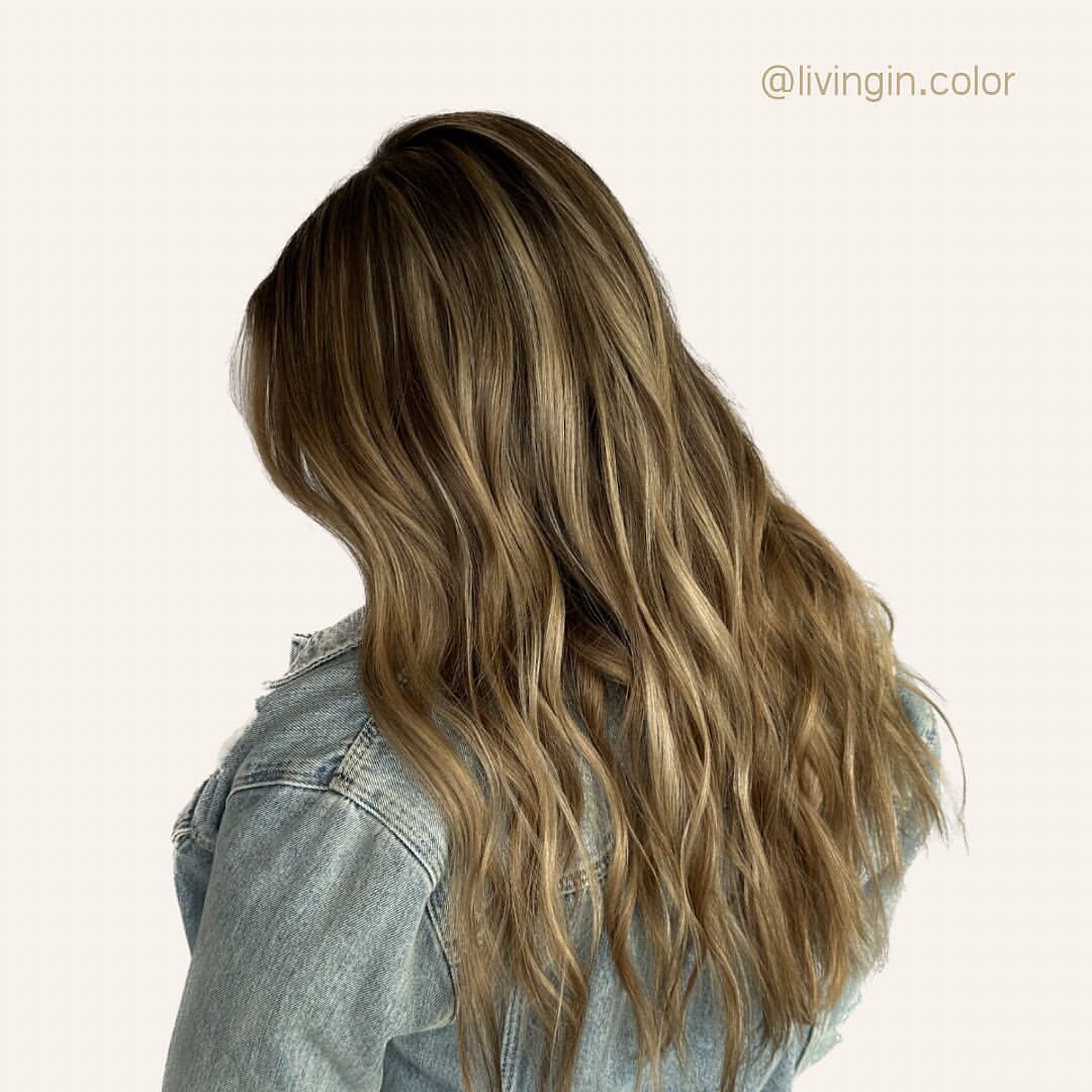 #repost &bull; @livingin.color 🌞What&rsquo;s your dream day?🌞

✨ Mine is to make lived in color dreams happen in my chair! 

#nashvillehair #franklinhair #nashvilletn #franklintn #nashilleblogger #franklinblogger #downtownnashville #midtown #downto