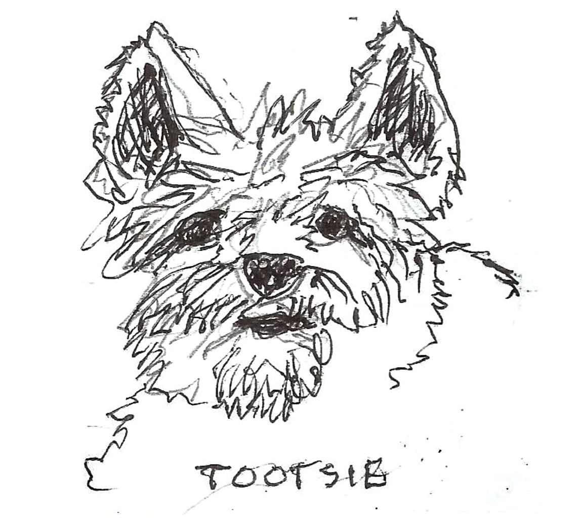 A sketch of a dog with large ears and a beard, labeled 'TOOTIE' underneath.