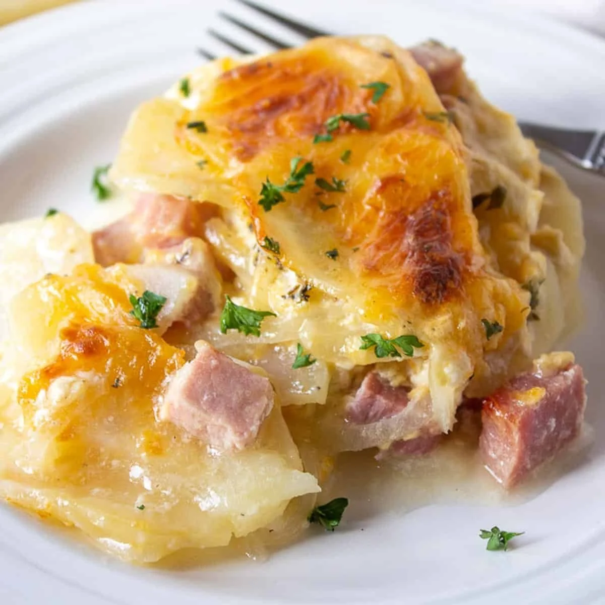 Scalloped Potatoes & Ham