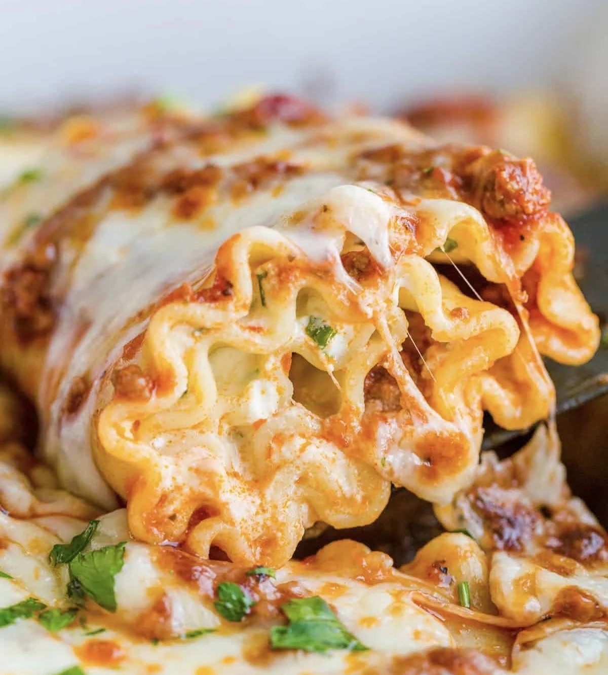 Lasagna Roll Ups