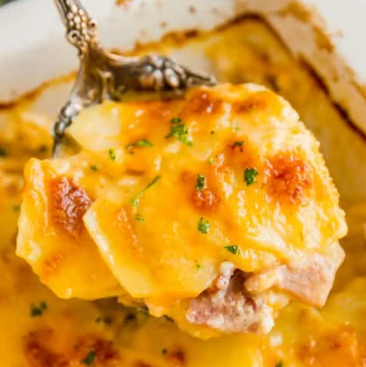 scalloped potatoes.png