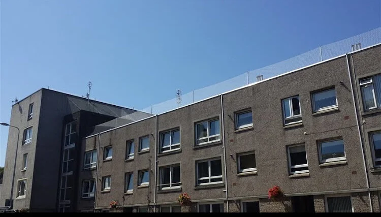 Gull net installation 