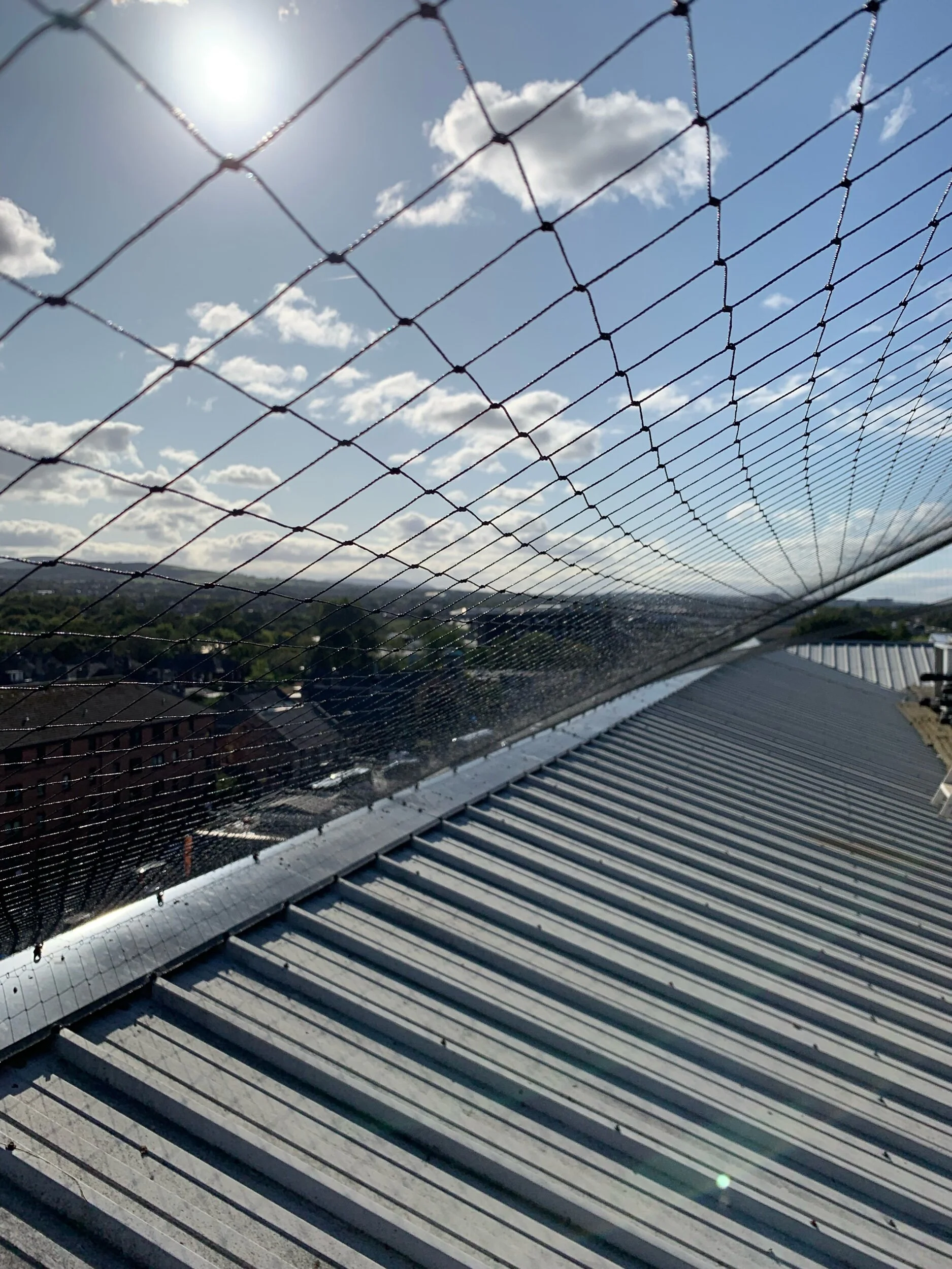 Pigeon net installation Edinburgh 