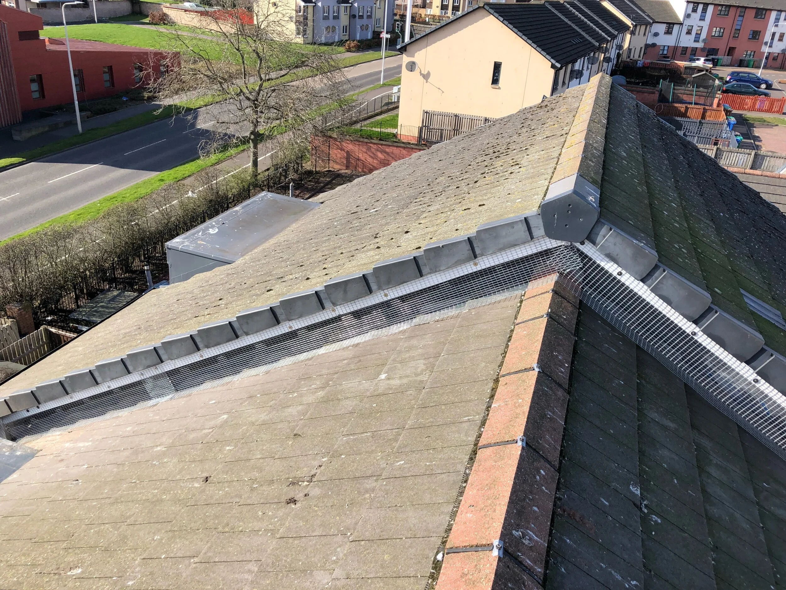 Soffits pigeon proofed 
