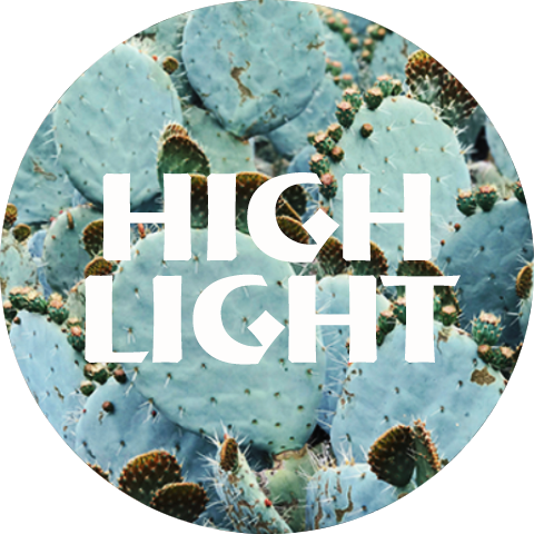 High Ligh.png