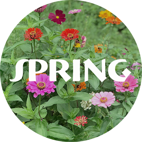 Pick Your Own POT - Spring.png