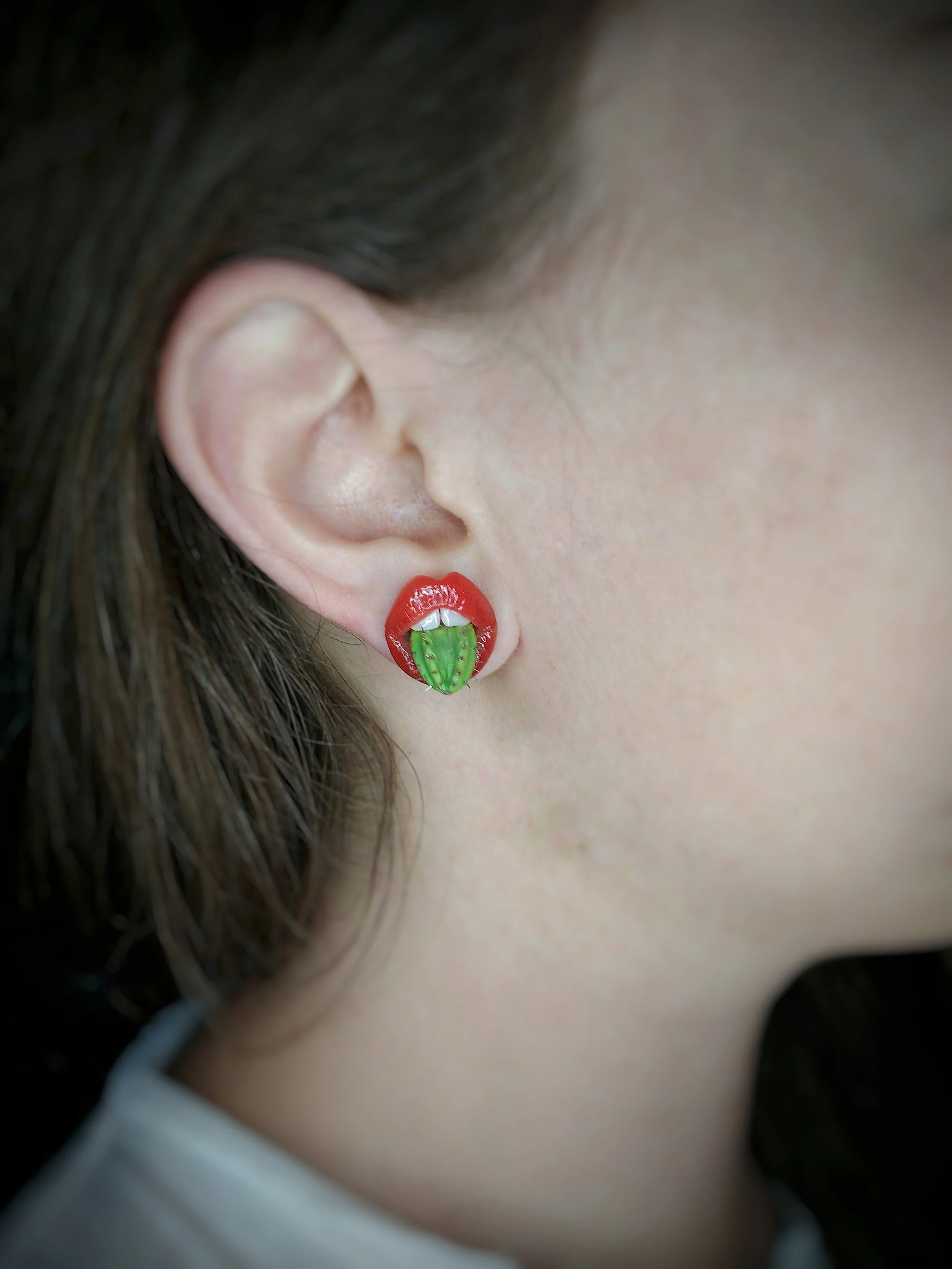 The Prickly Pear - Cactus House Earrings (1).jpeg