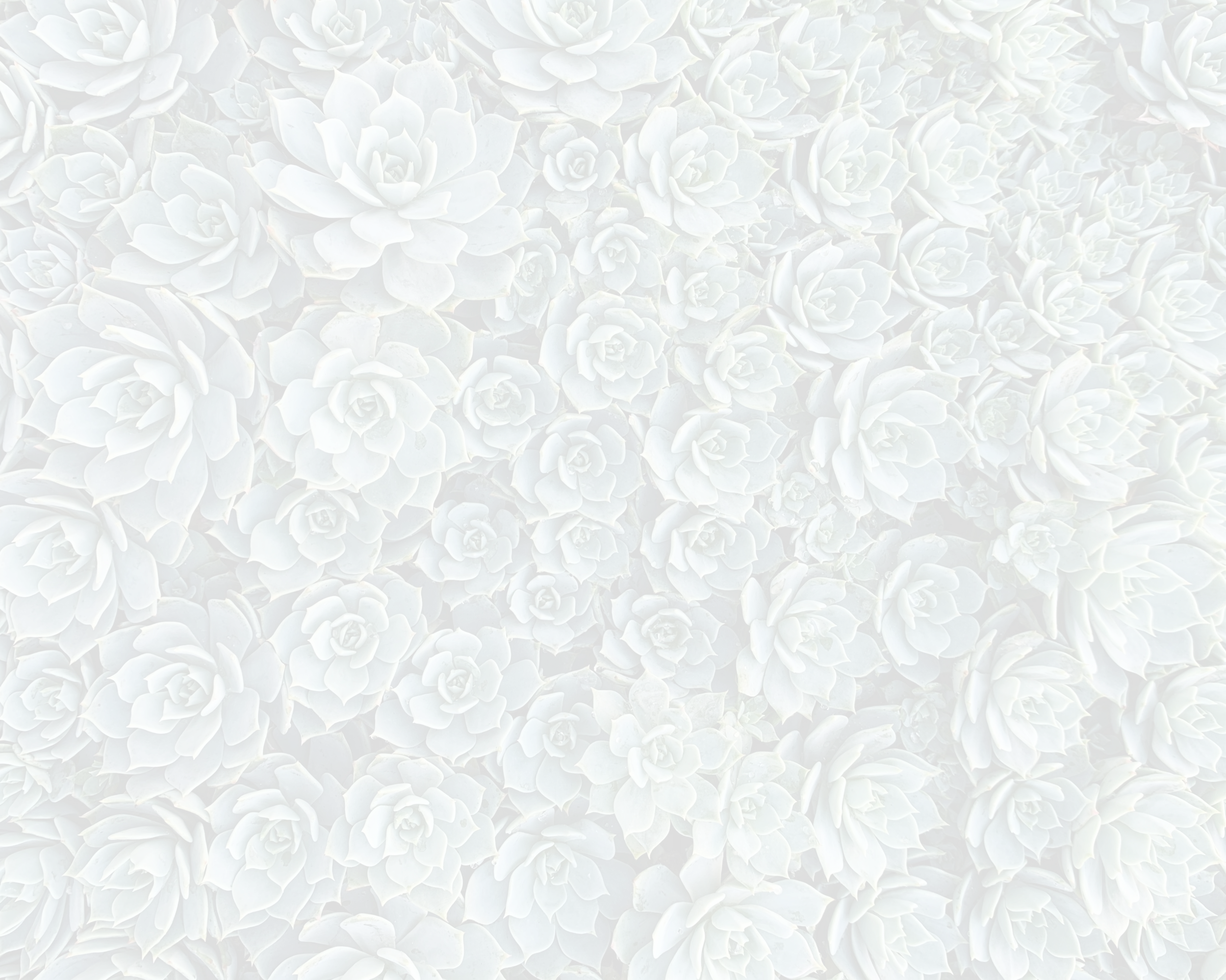 Background OPAQUE.jpg.png