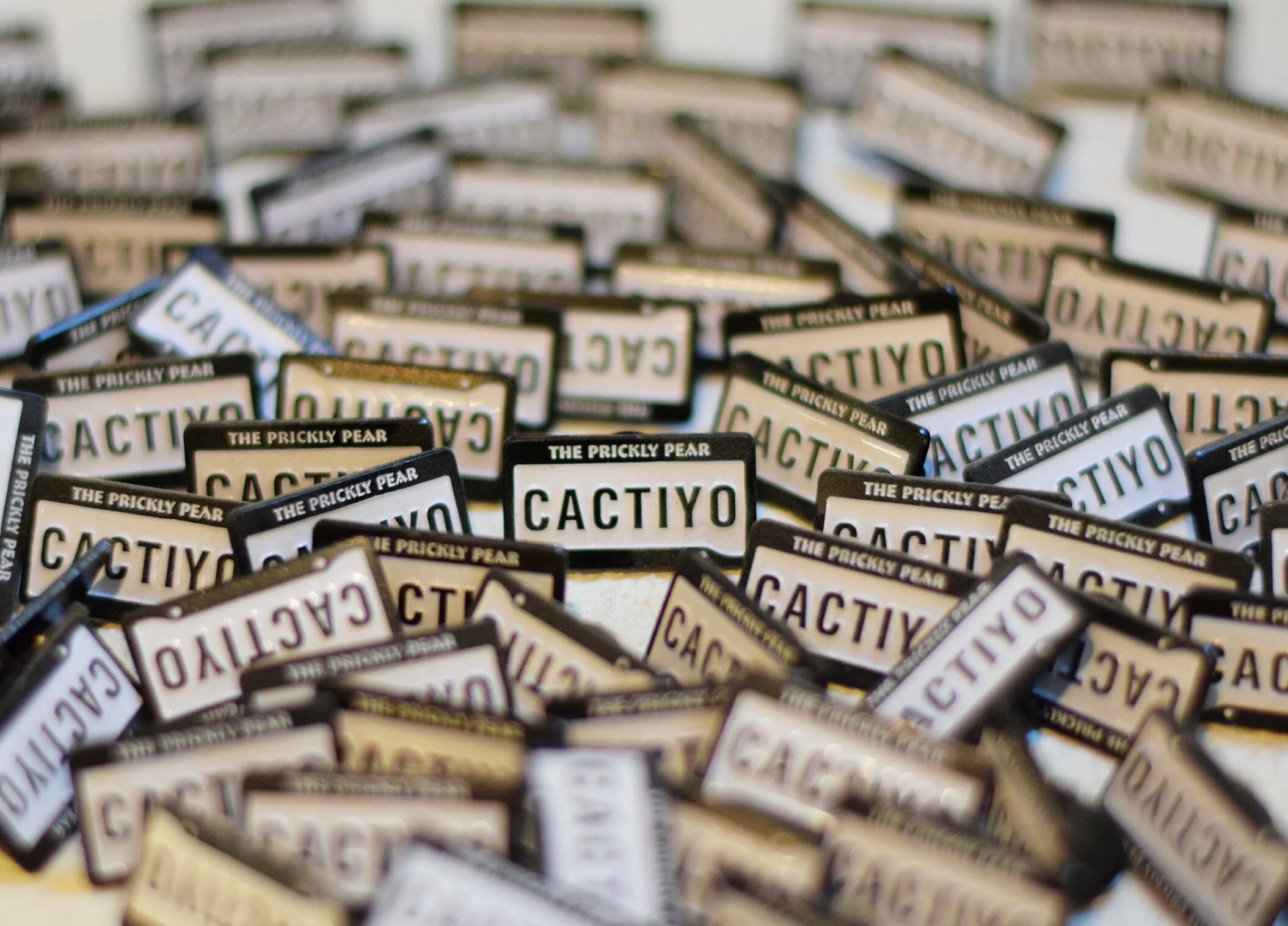 Cactiyo Pin.jpg