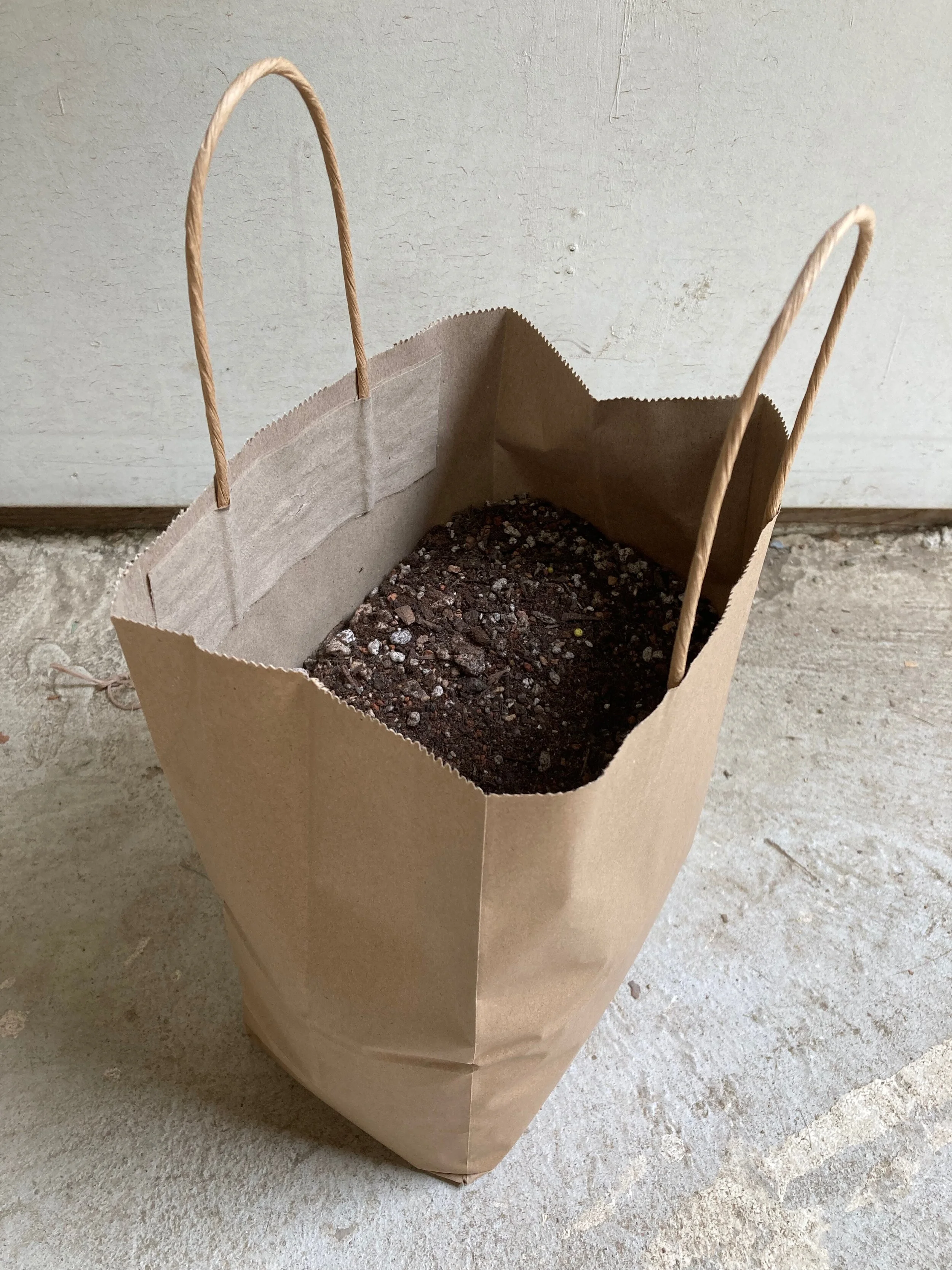 BagOfSoil.jpeg