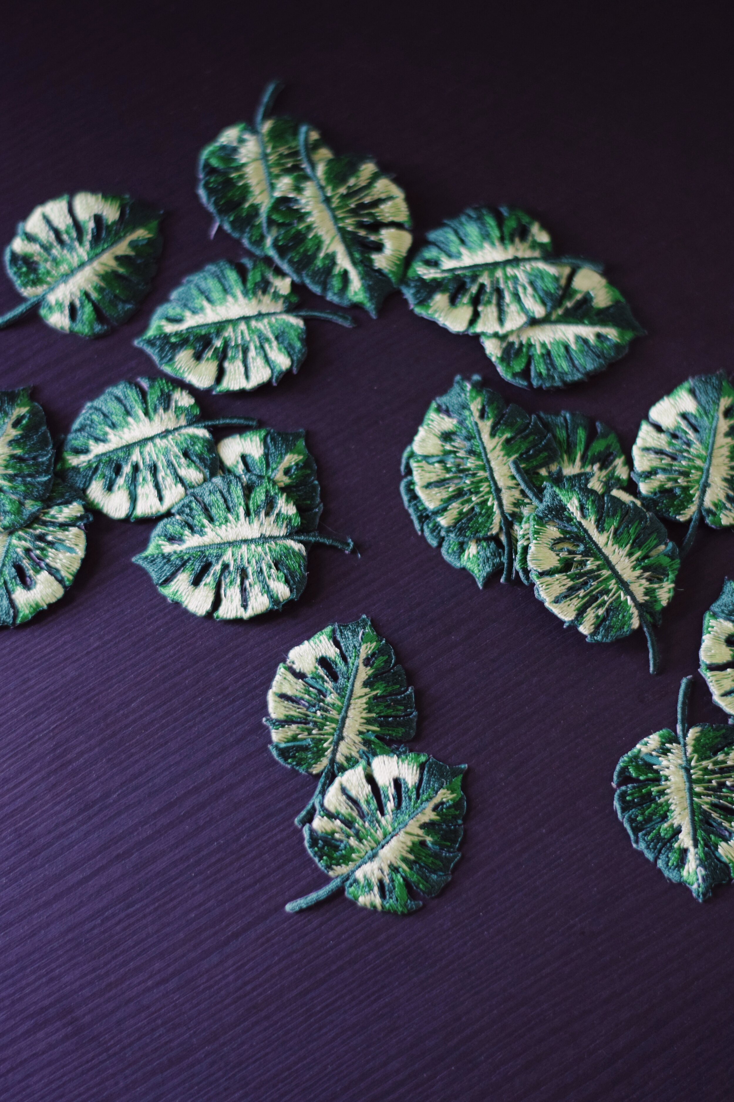 The Prickly Pear - Monsterra Pin (2).jpeg