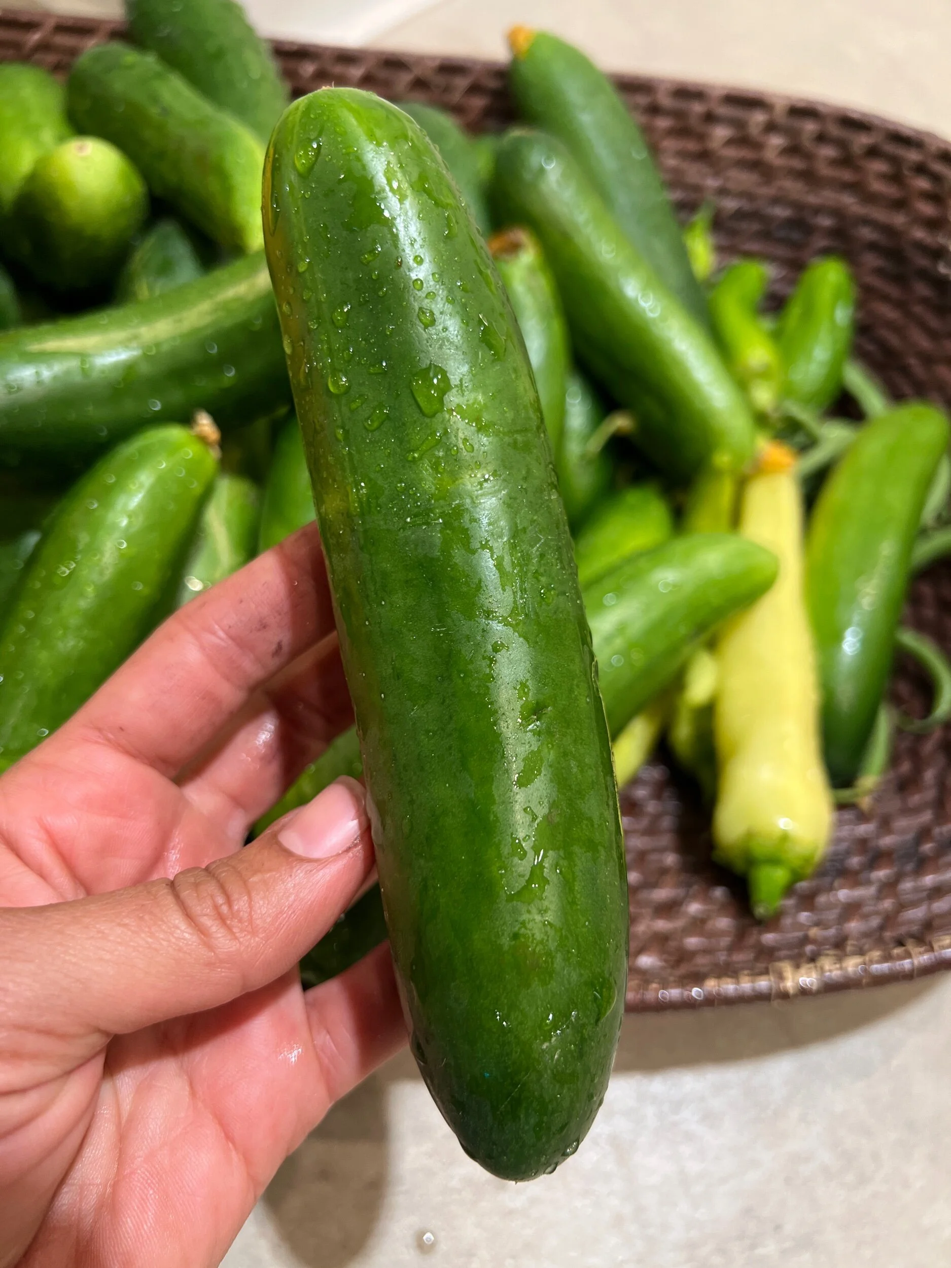 3B64694D-8A48-48BF-85D1-B45A44B7DA2E