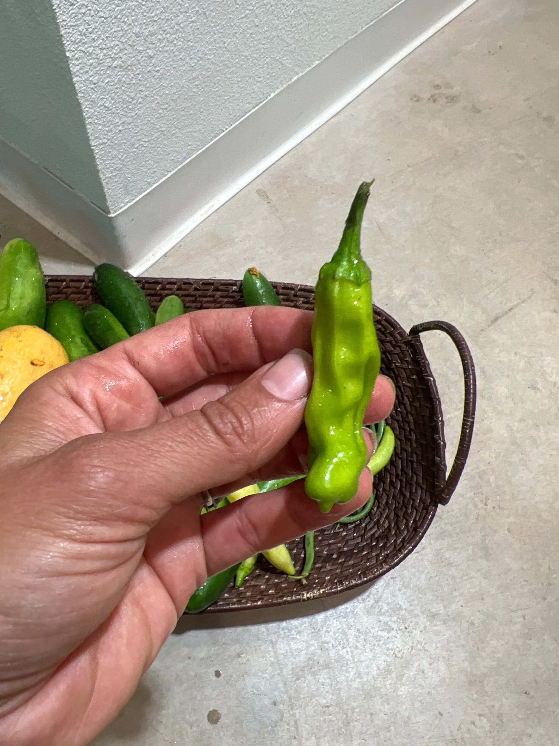 F5C2CE4D-CE0B-4CD1-85FC-6E4A31BFD8F6