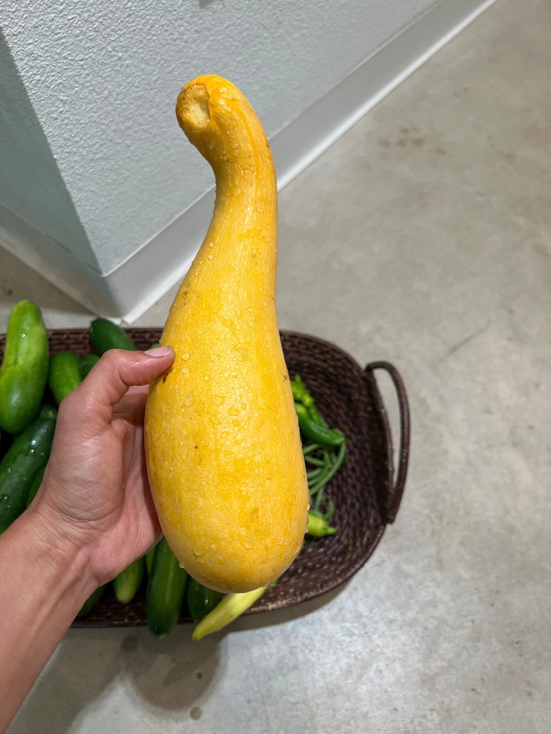 B028B74C-0125-44A2-A86B-A65816B9F58C