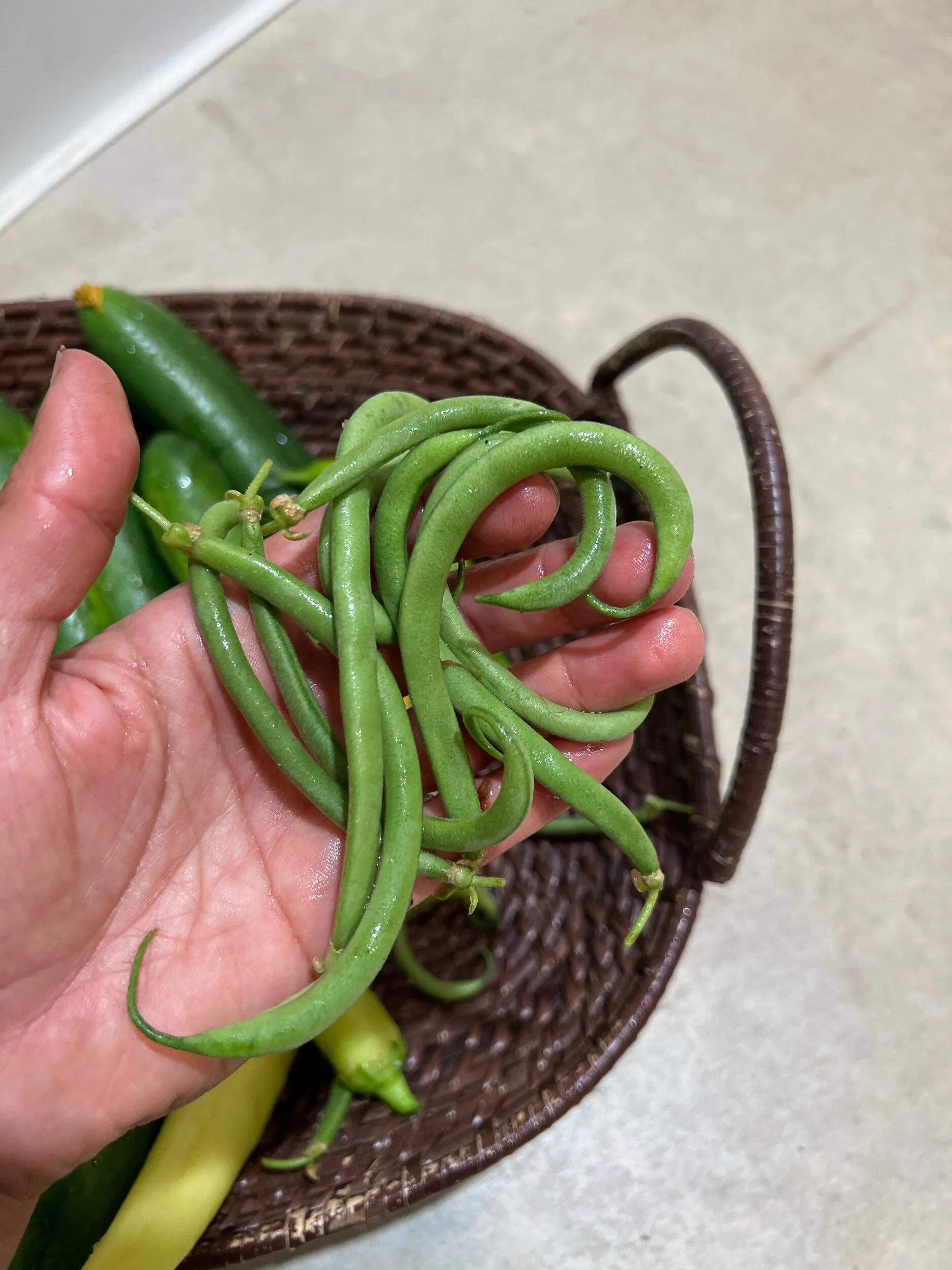 F7D8E504-AA4D-425B-A11F-7EFEC2D4743A