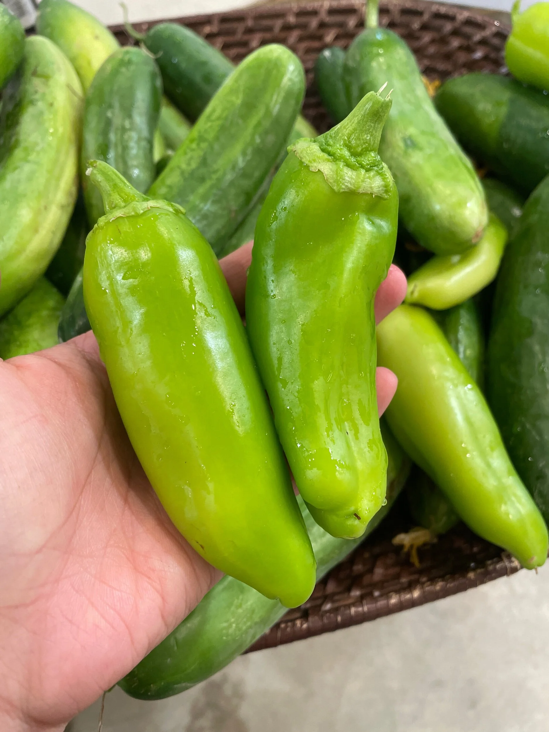 6E19C431-C750-4A67-A96A-9F6895462EC7