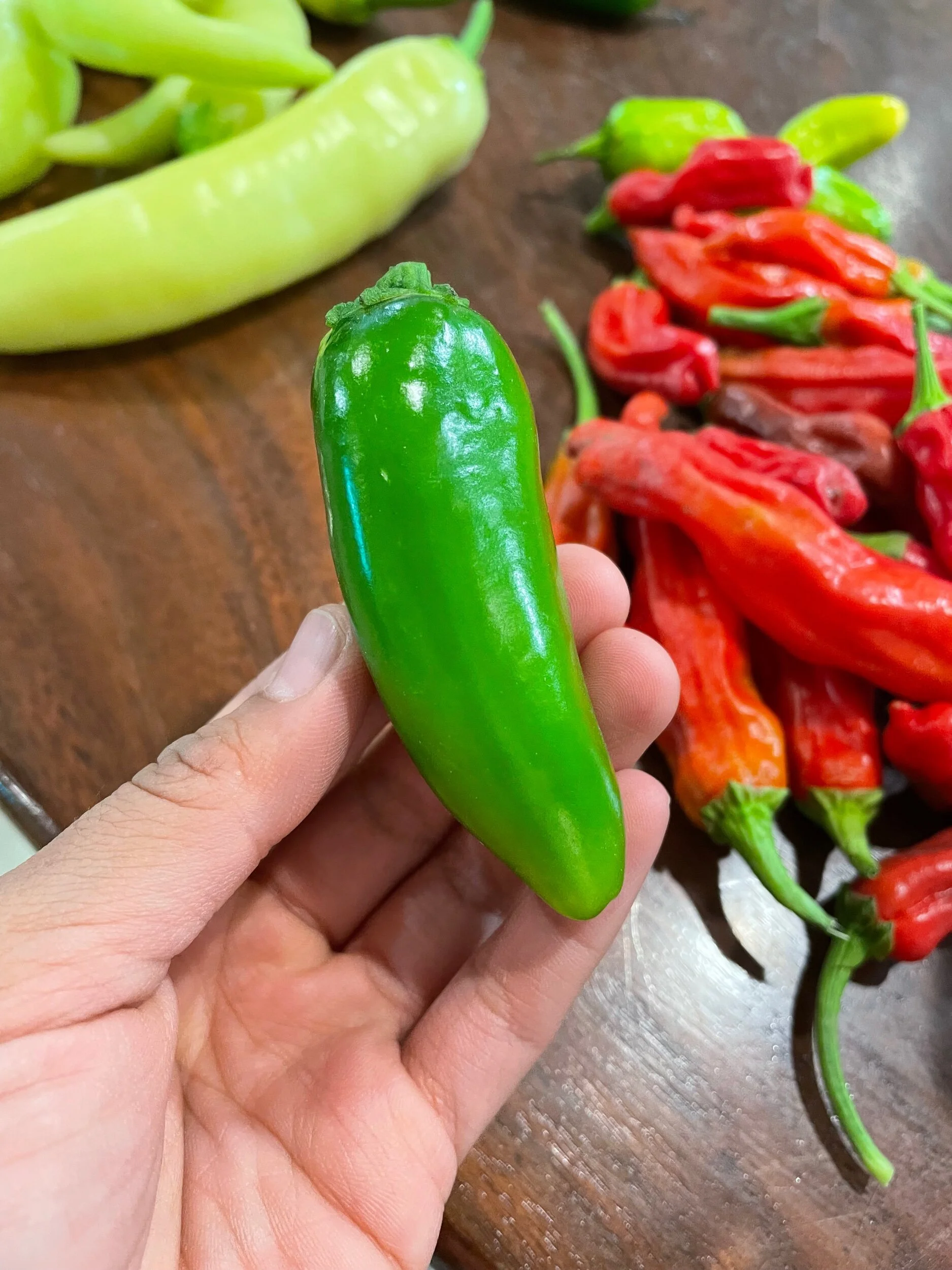 5C395562-A245-4F5F-BE8B-DB40E0163599