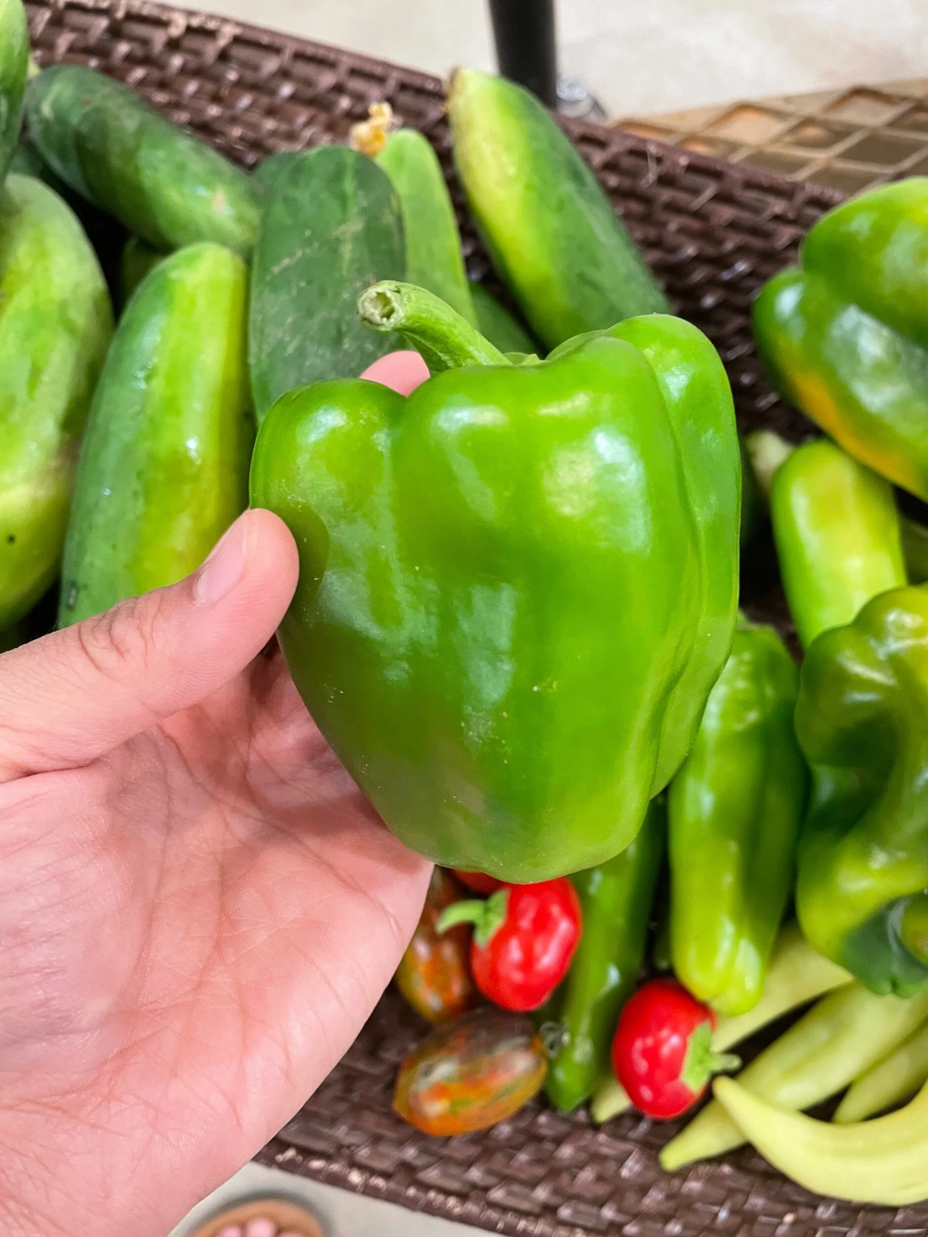 8F00D61A-0DDC-4D7A-9EC1-ABBA18F7A3CF