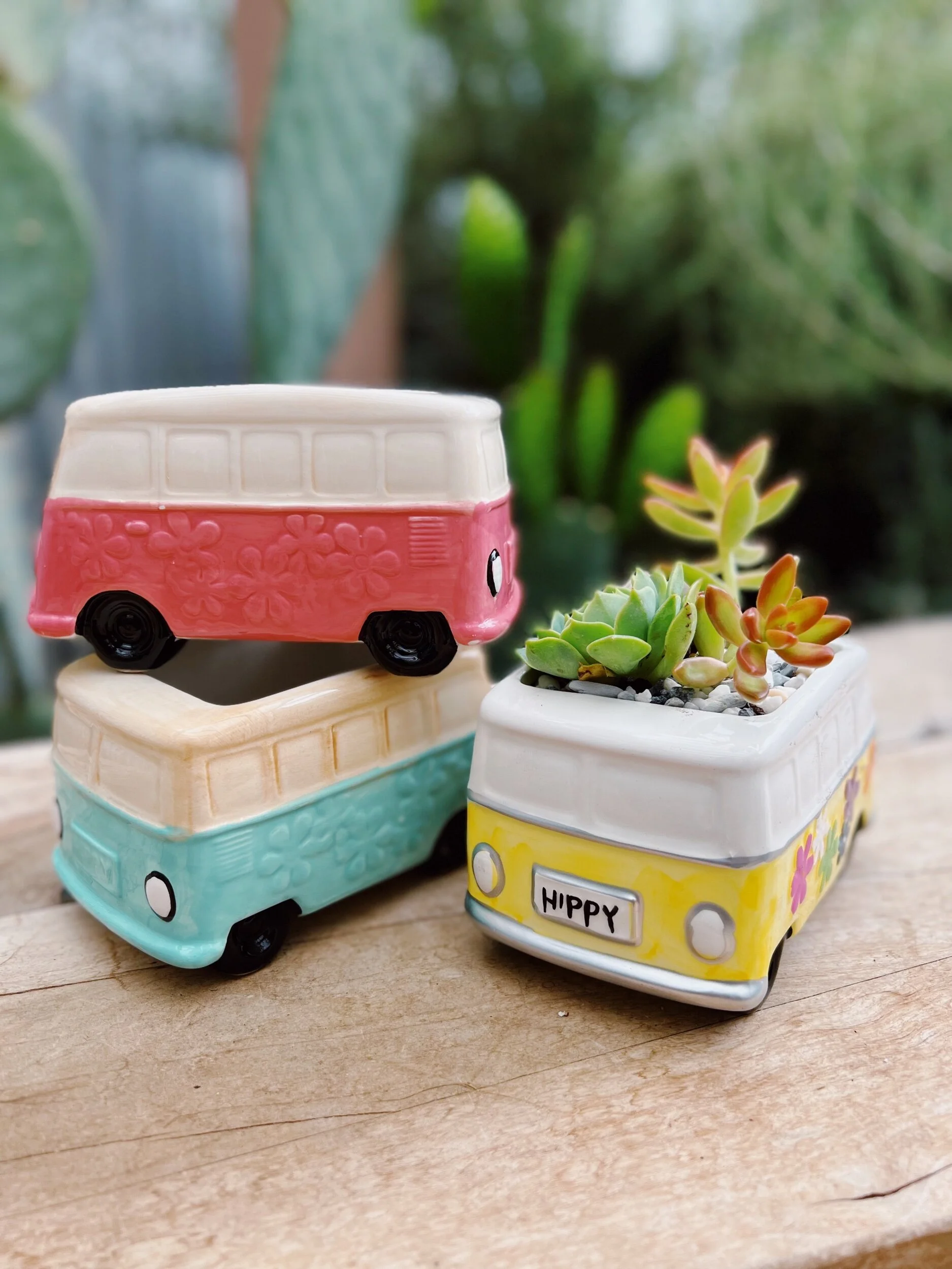 Succulent Hippy Bus Pot — The Prickly Pear