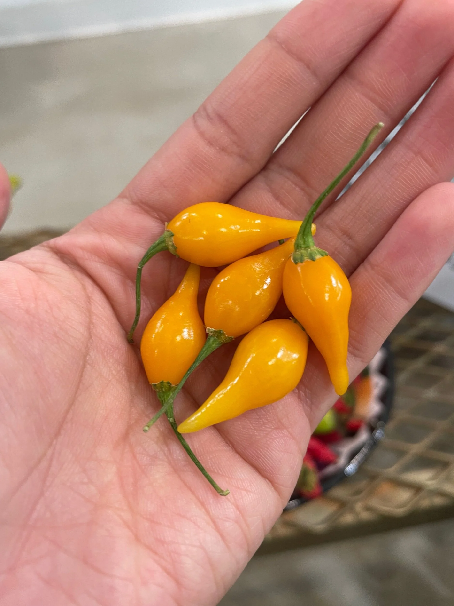 A070083A-A7AF-4273-AE3D-DB9A139AD503