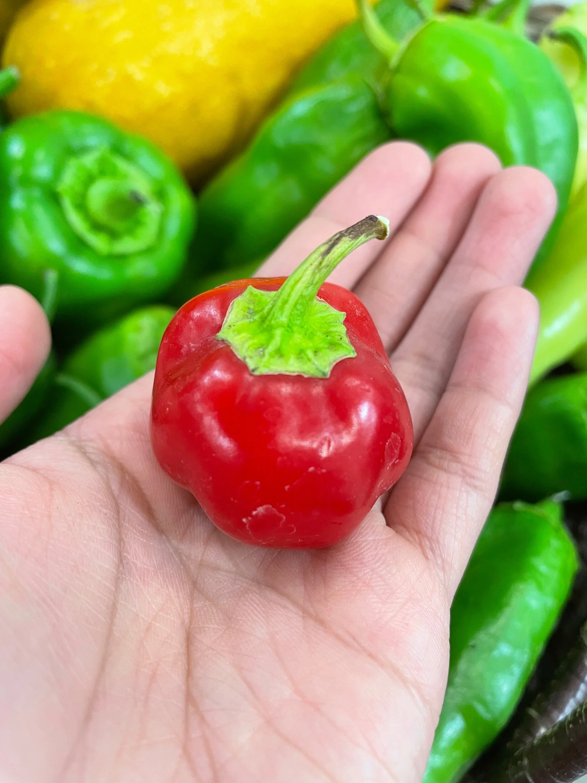 F0AF71C6-14DA-420A-9990-68719690678A