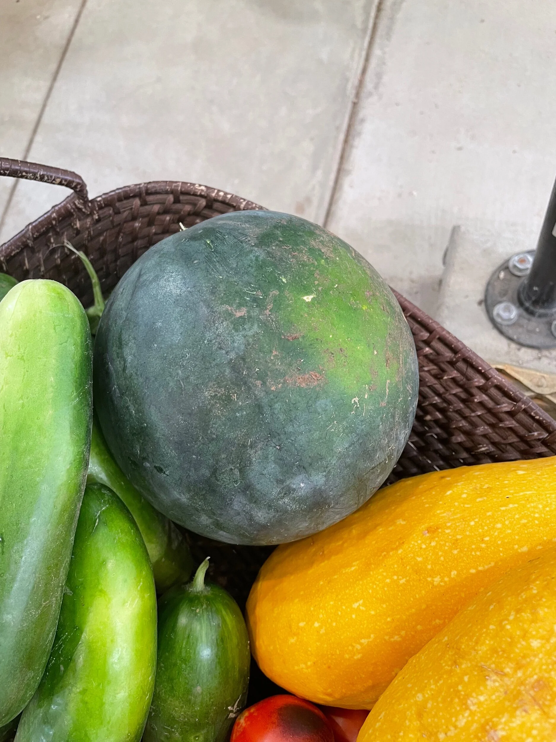 8D915C93-C0FD-459A-B0B8-DF1ECBC56716