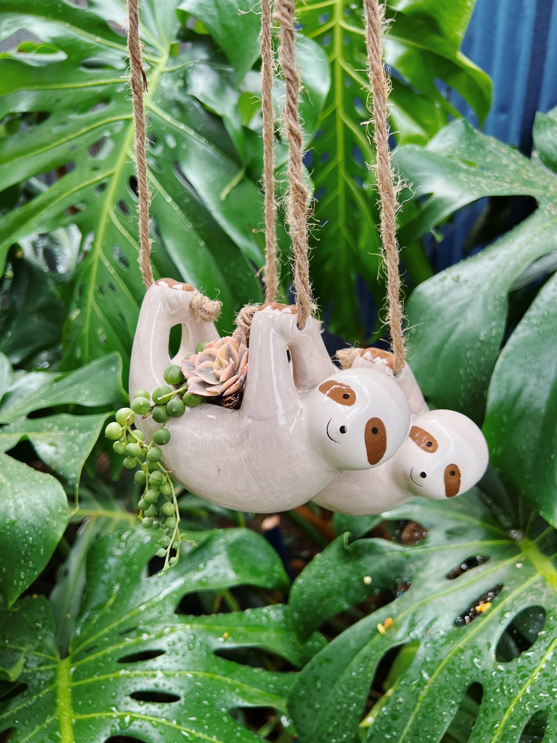 D3B6A98C-9E0E-47C3-AE8B-65D27BA8DBF2