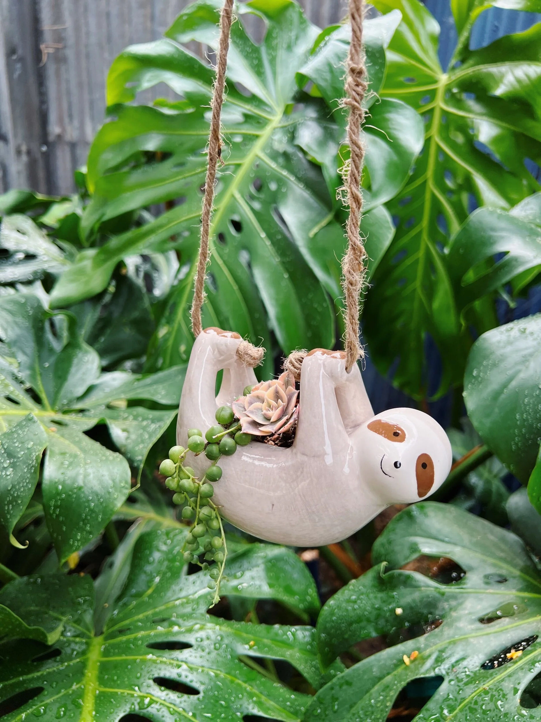 7A8899BD-3A62-4BB4-B3BC-A8A375A59D8A