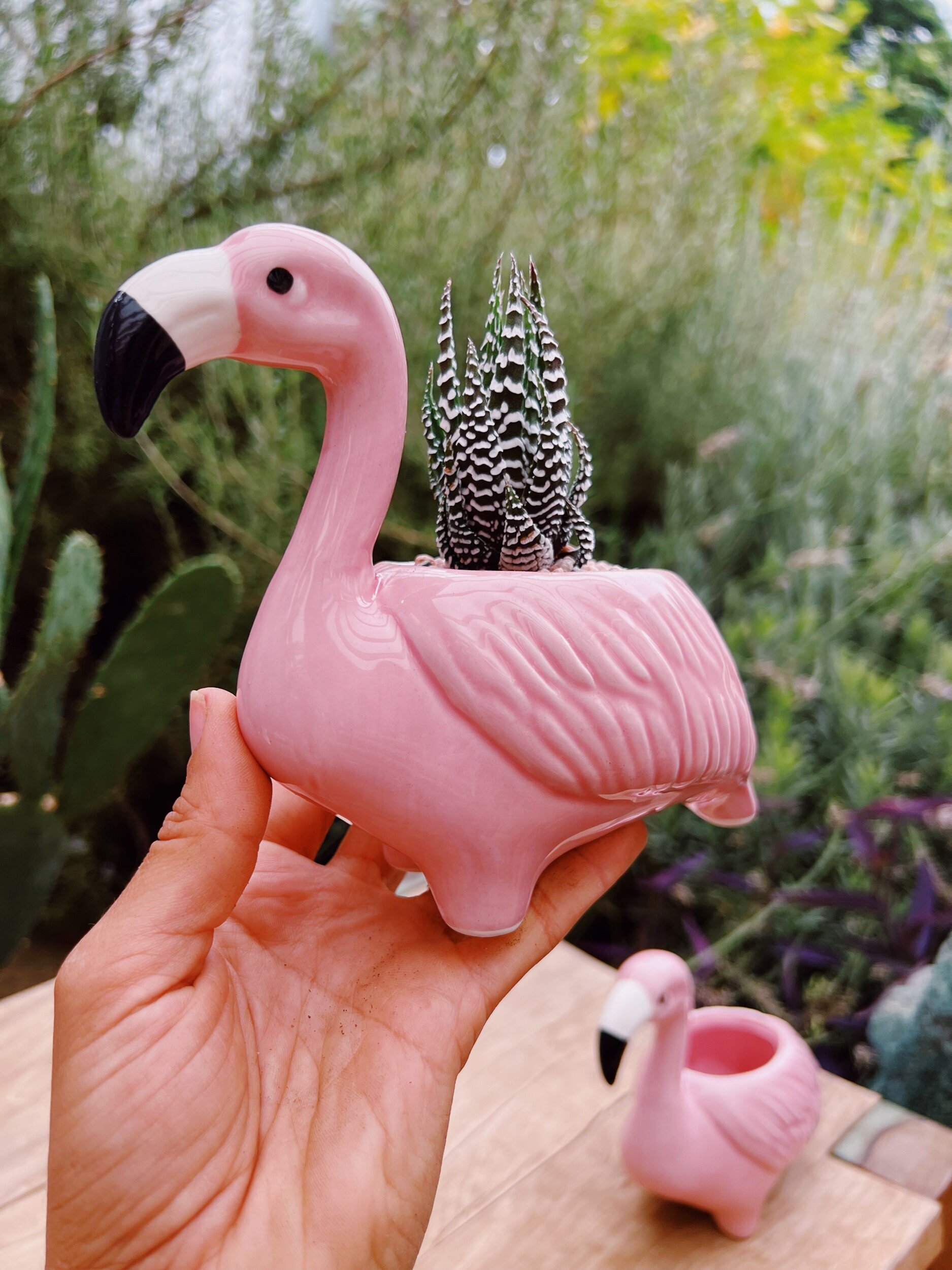 Mechanica pot Drama Flamingo Pot — The Prickly Pear