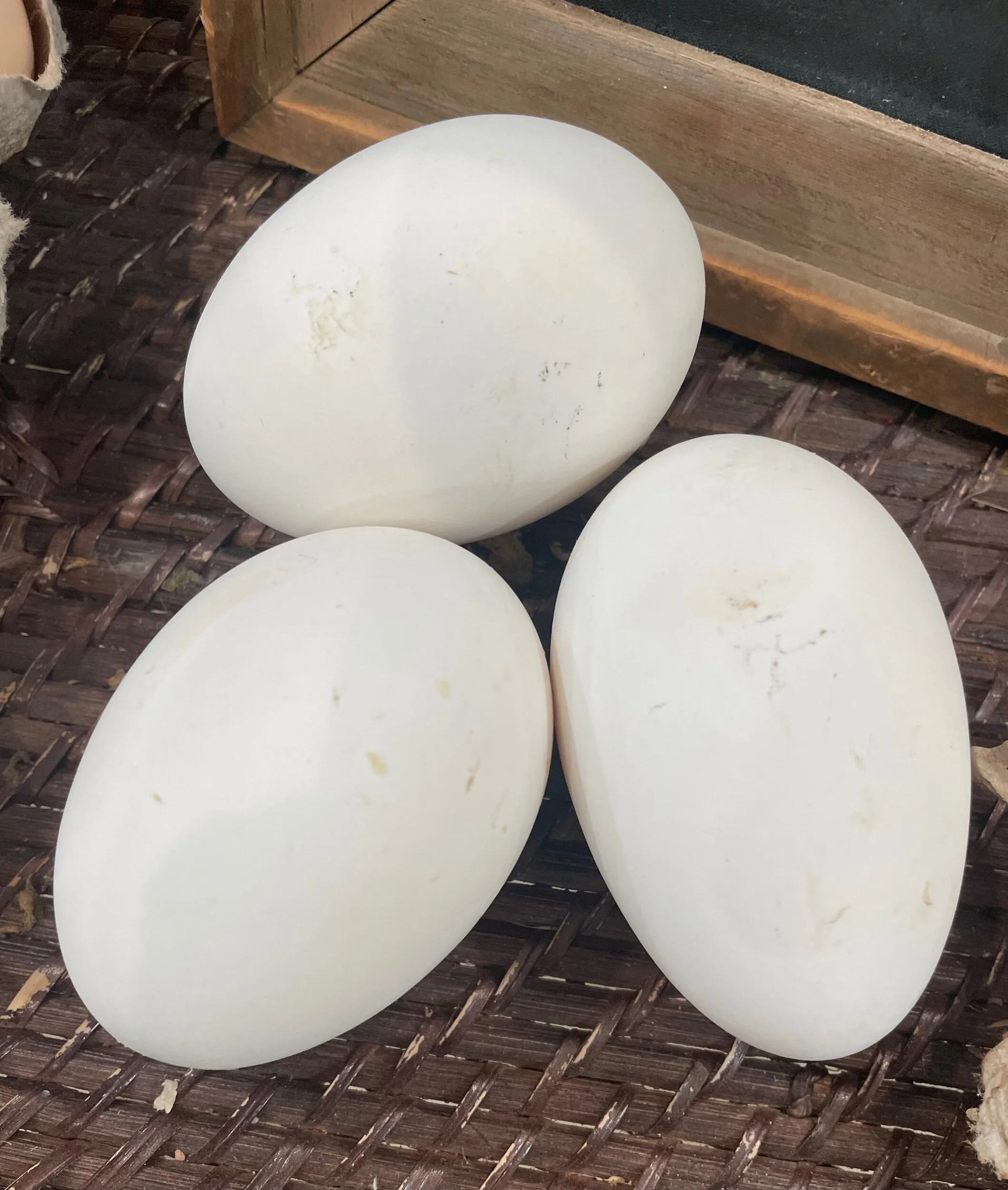 CC168BF5-457F-4DCD-BD1F-995FF2D7DB69