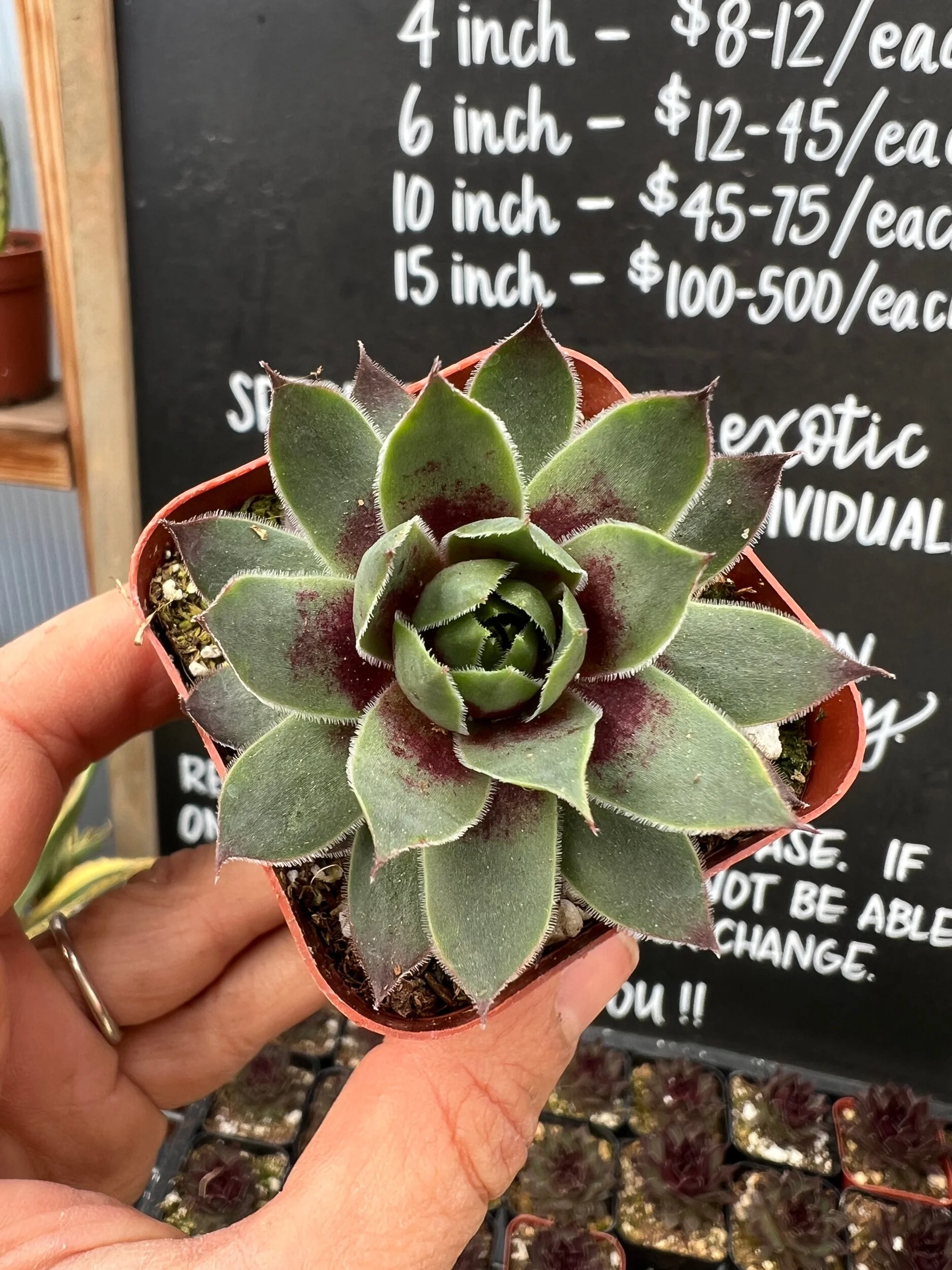 CF1BBE83-7C9D-4662-94C2-EC192ACE89C2