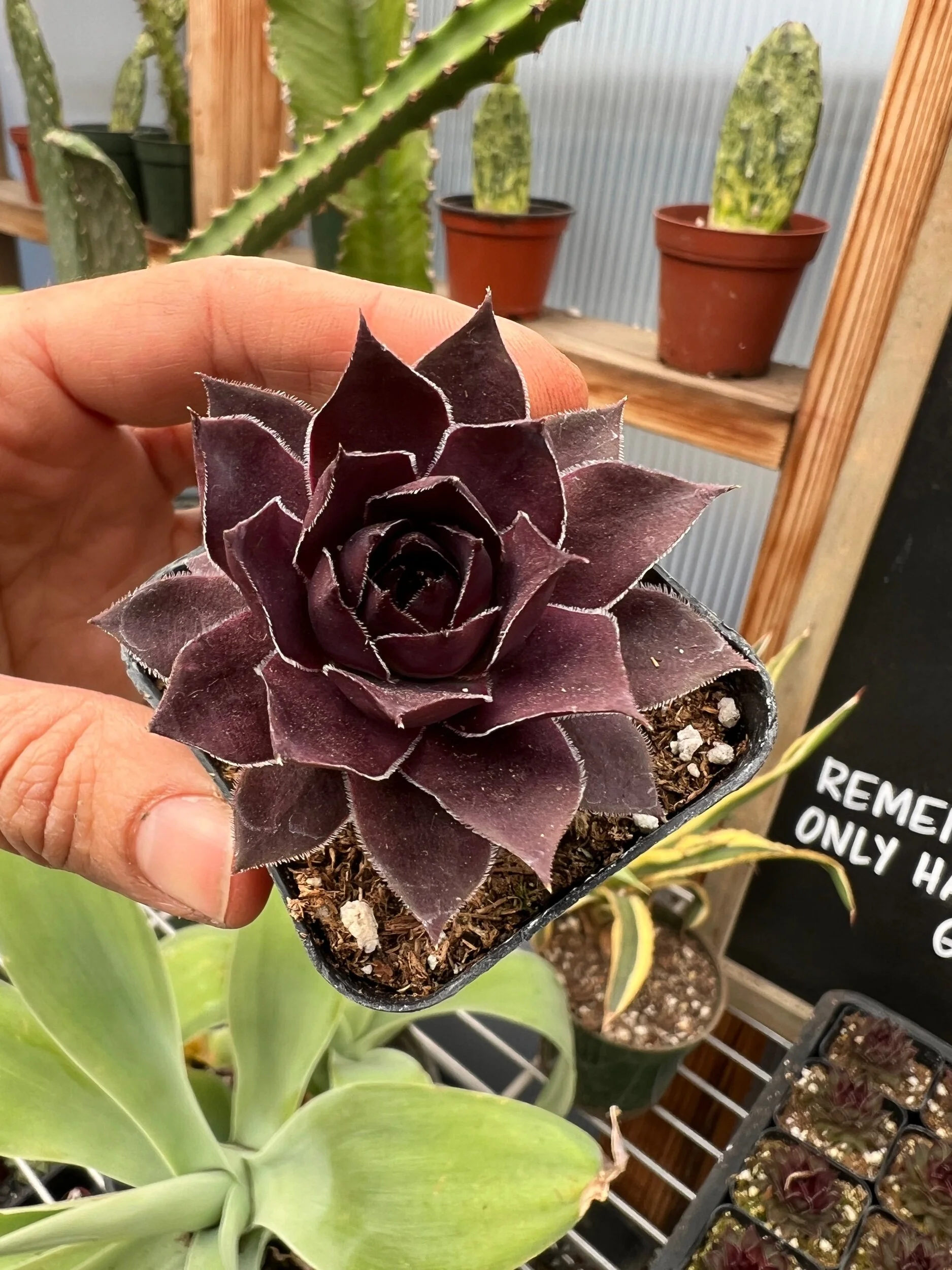 50573997-5D50-4BE5-B747-FBD7FCE4E119