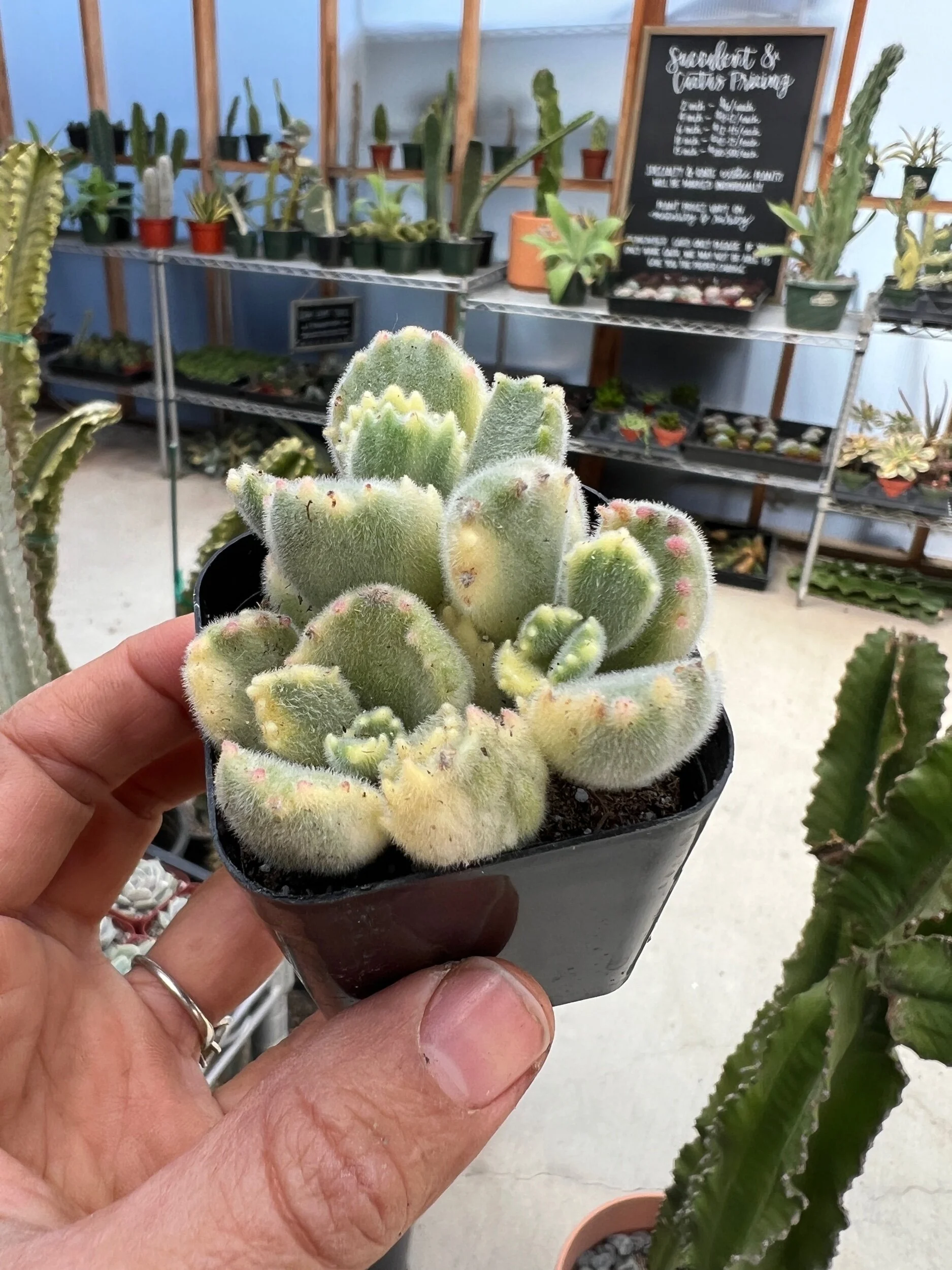 C9DD6629-3D18-42CA-98C8-760DDC90E24B