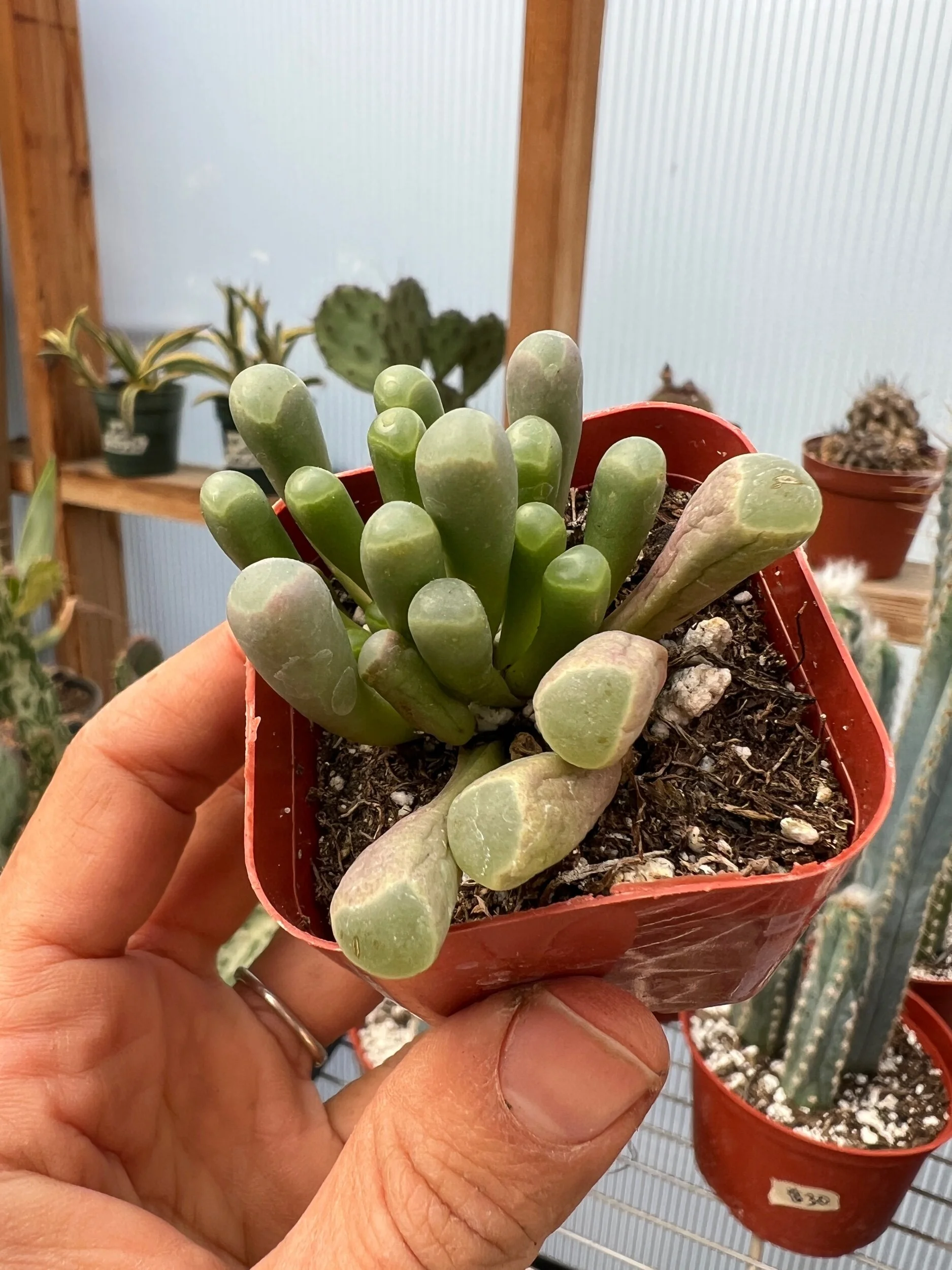 A5EF5980-DD92-48DC-A72D-D5A195ECEAD3