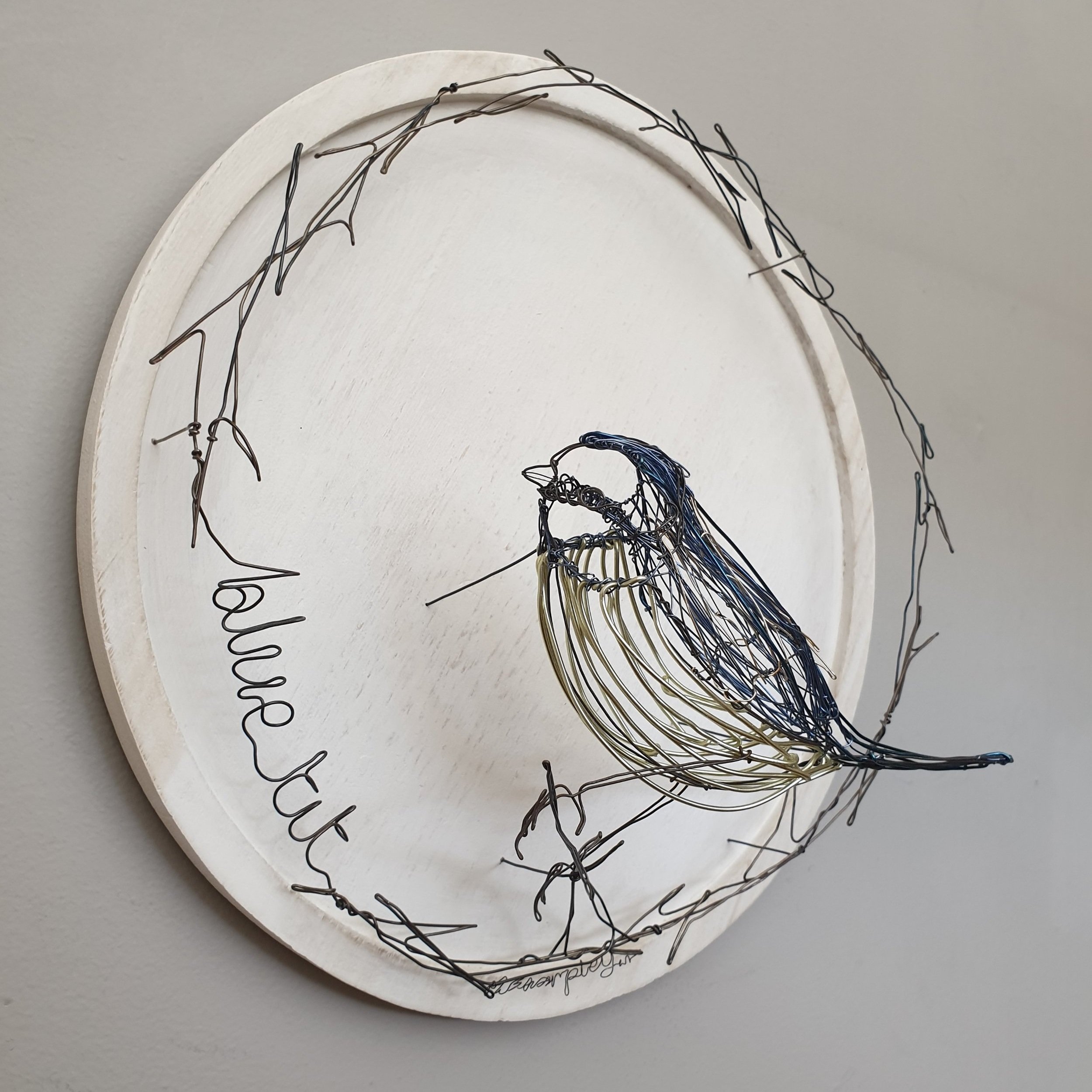 Helaina+Sharpley+blue+tit+%283%29.jpg