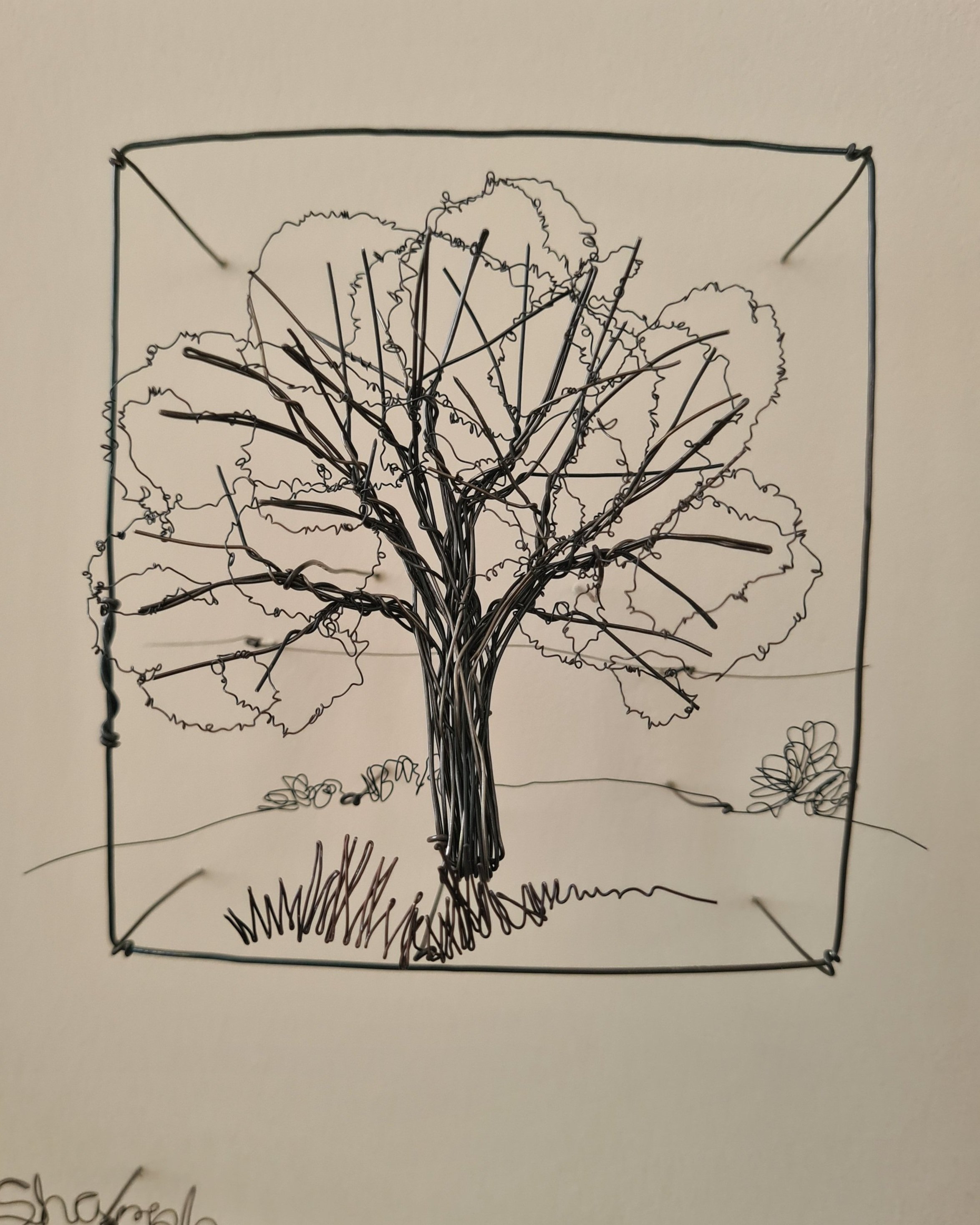Helaina+Sharpley+Tiny+tree+%287%29.jpg