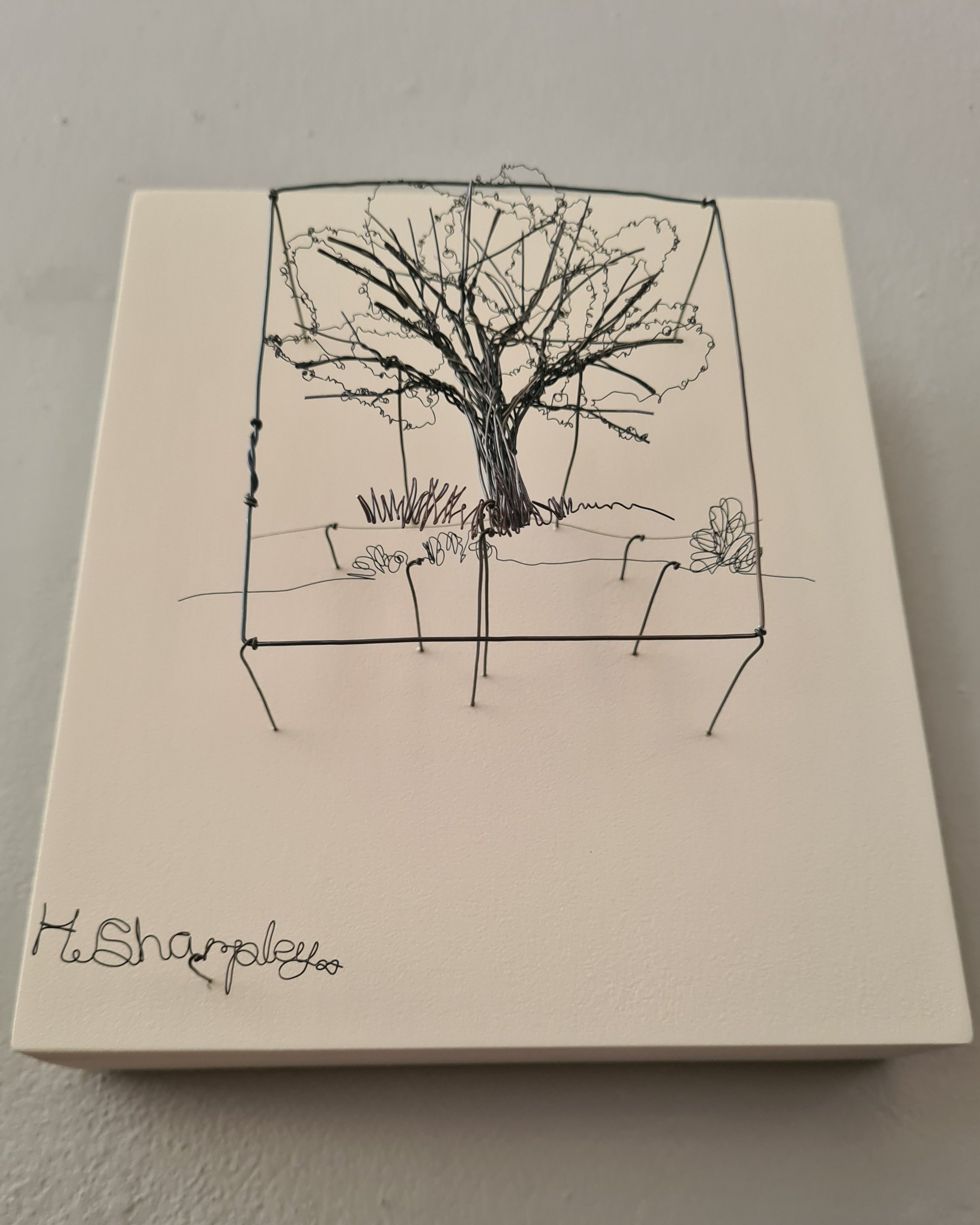 Helaina+Sharpley+Tiny+tree+%288%29.jpg