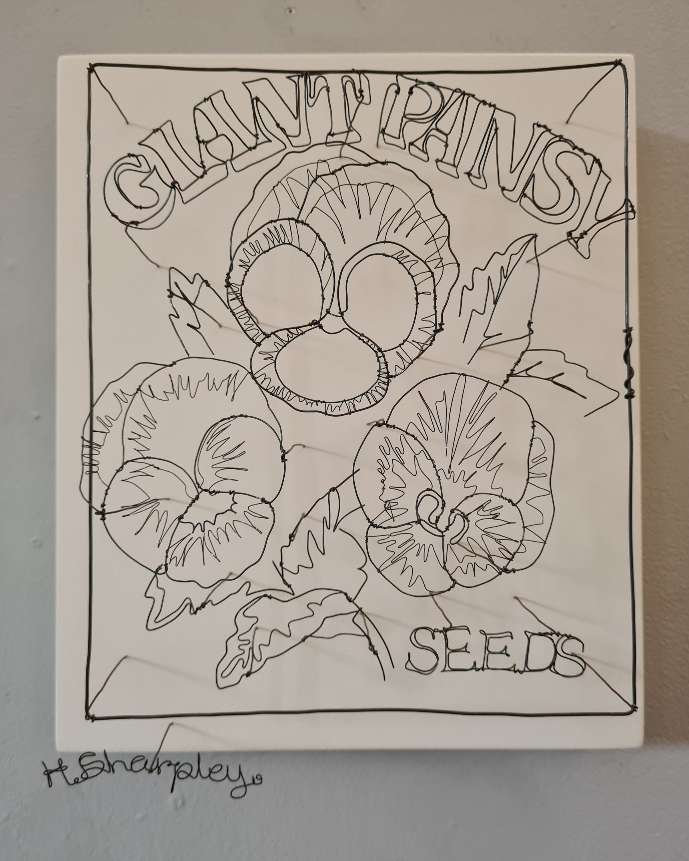 Helaina+Sharpley+Giant+Pansy+%282%29.jpg