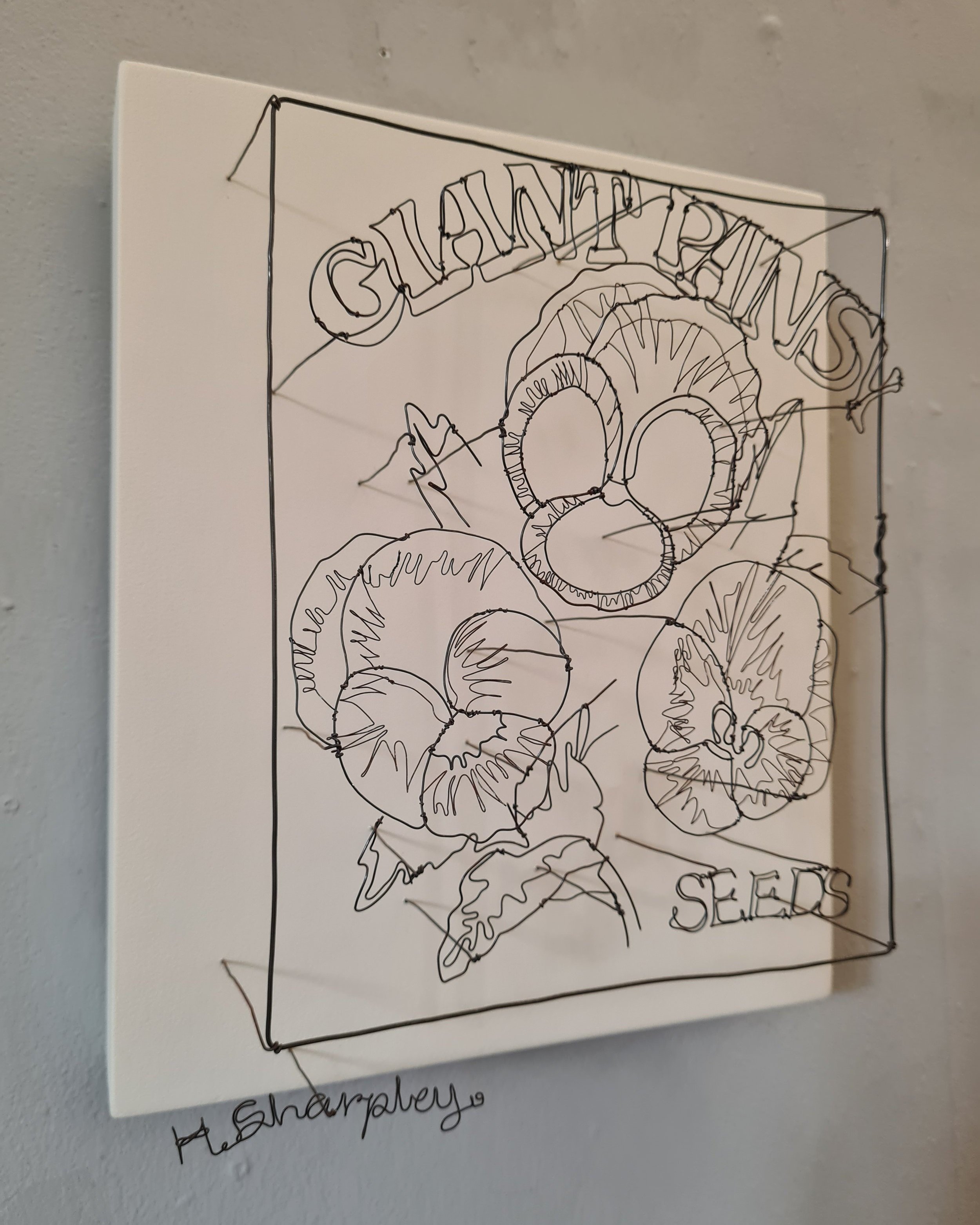 Helaina+Sharpley+Giant+Pansy+%284%29.jpg